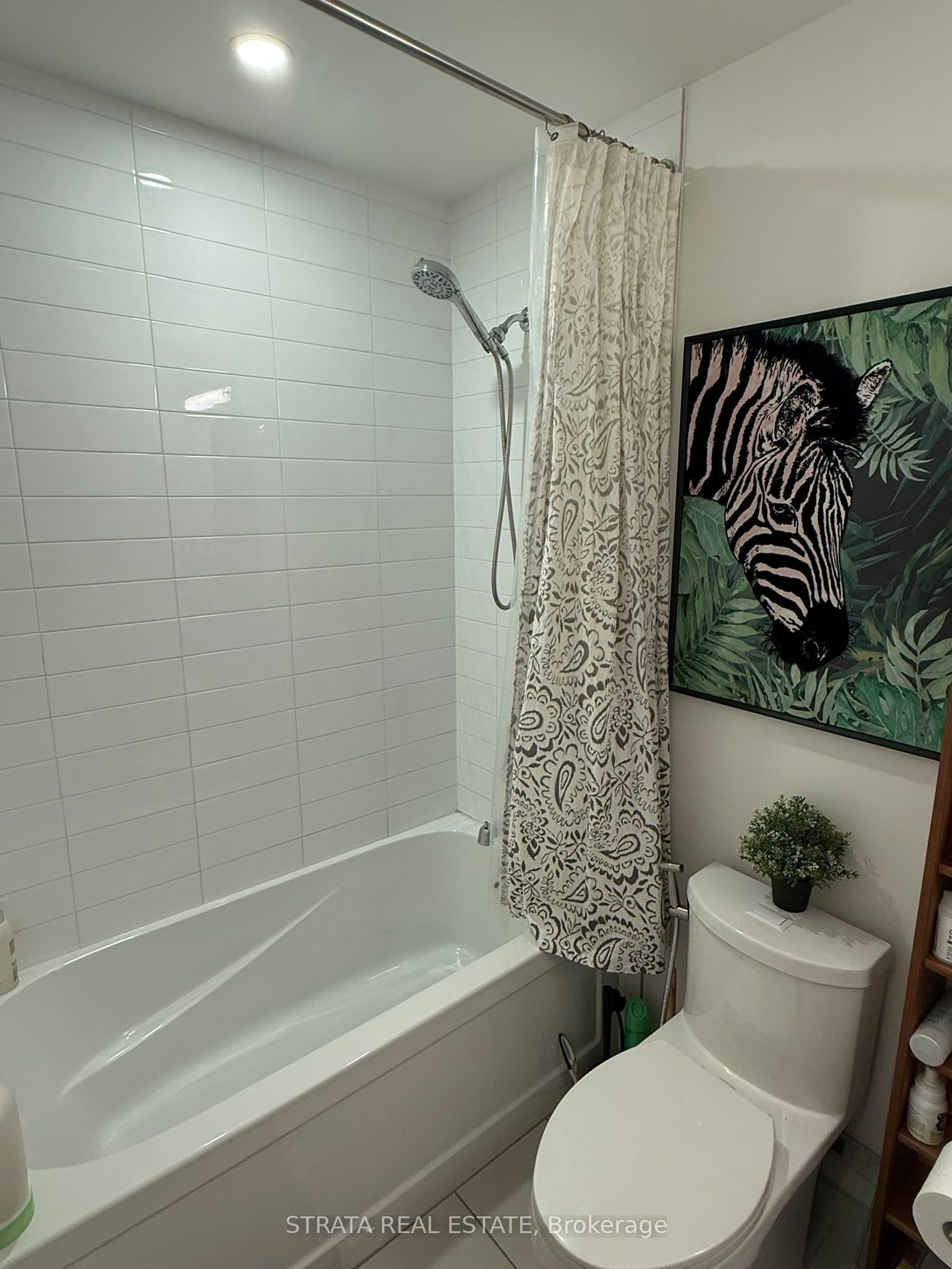 50 Ordnance Street 2401 Property Photo 10