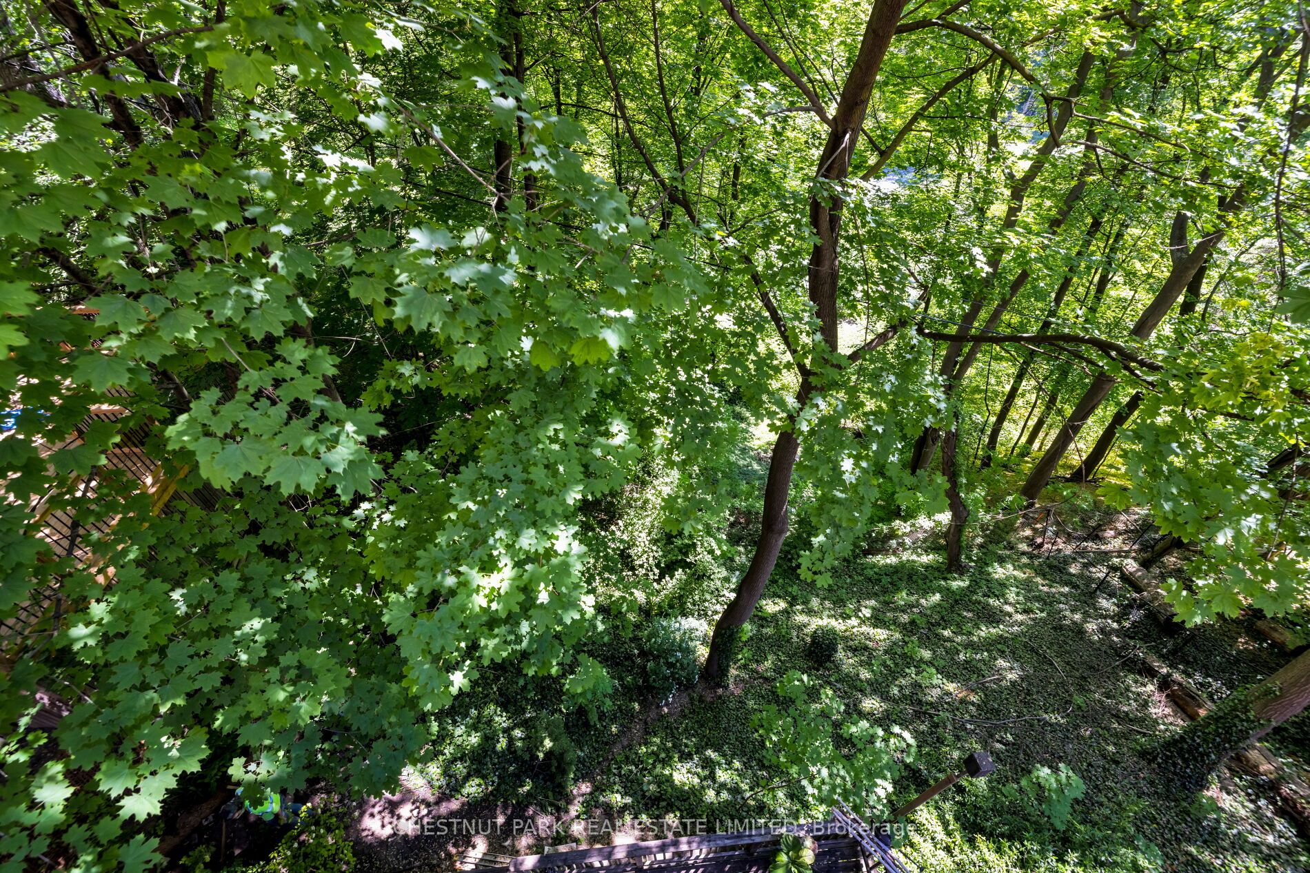 40a Summerhill Gdns Property Photo 23