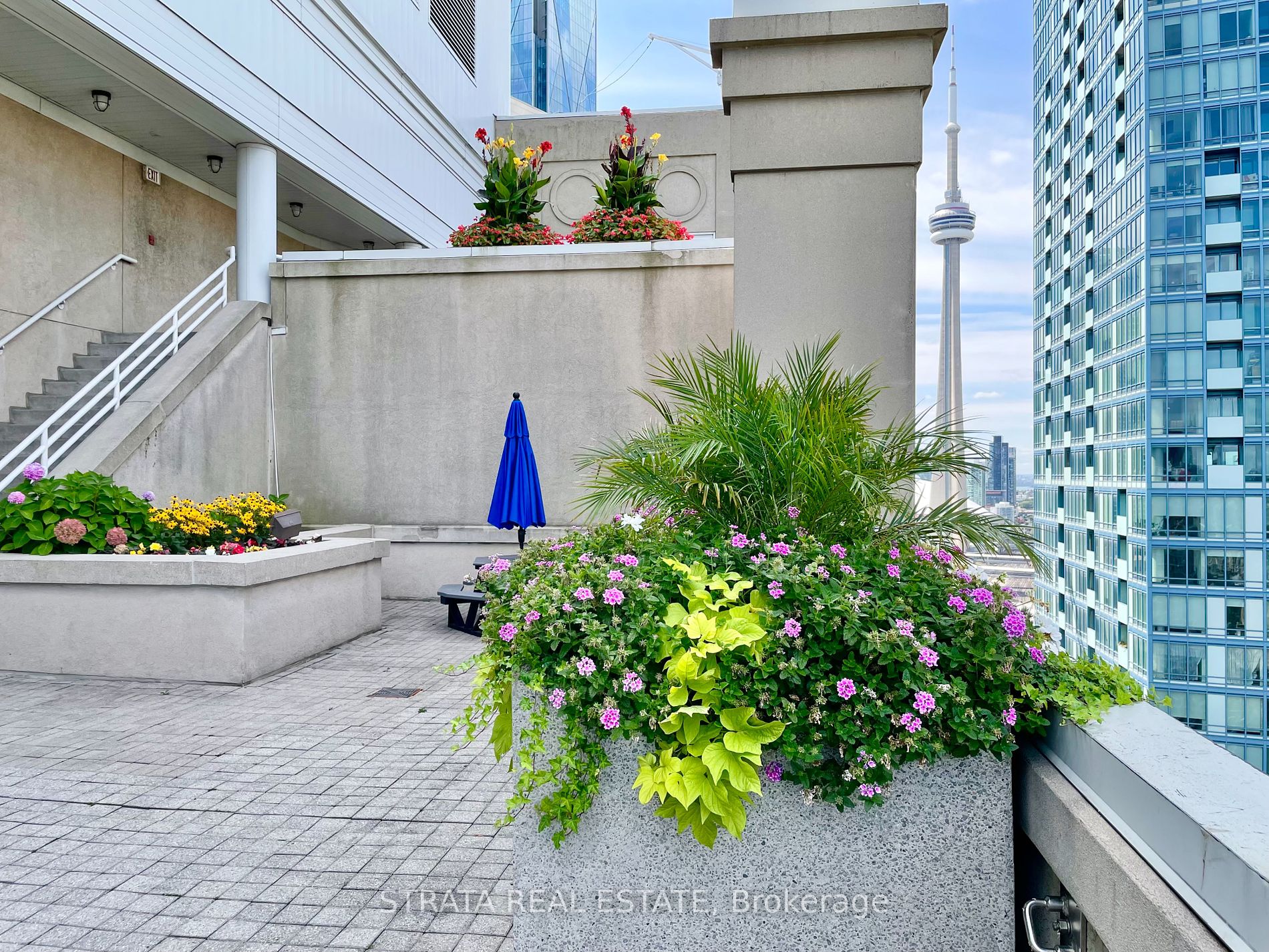 25 The Esplanade 11 Property Photo 33