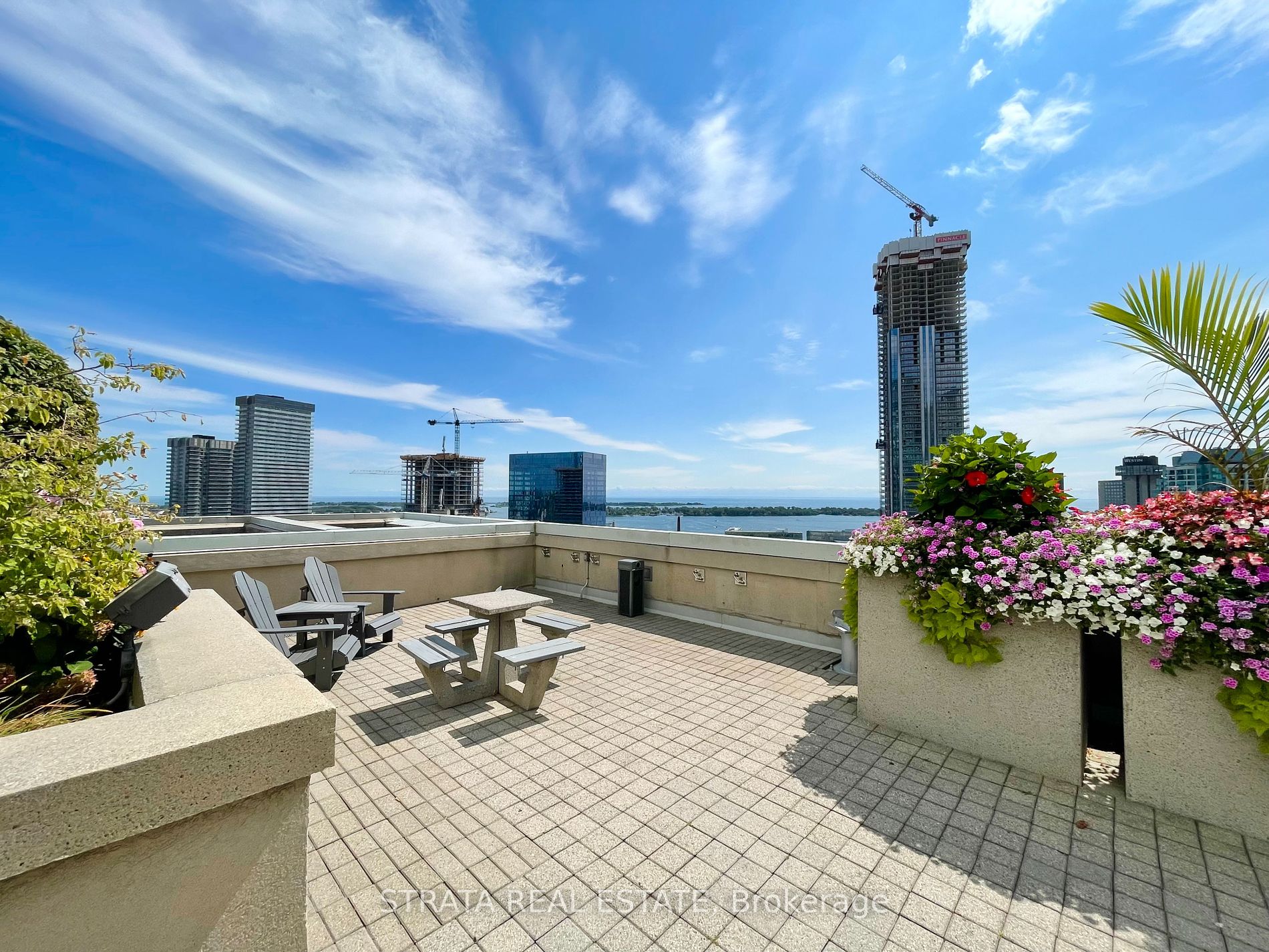 25 The Esplanade 11 Property Photo 34