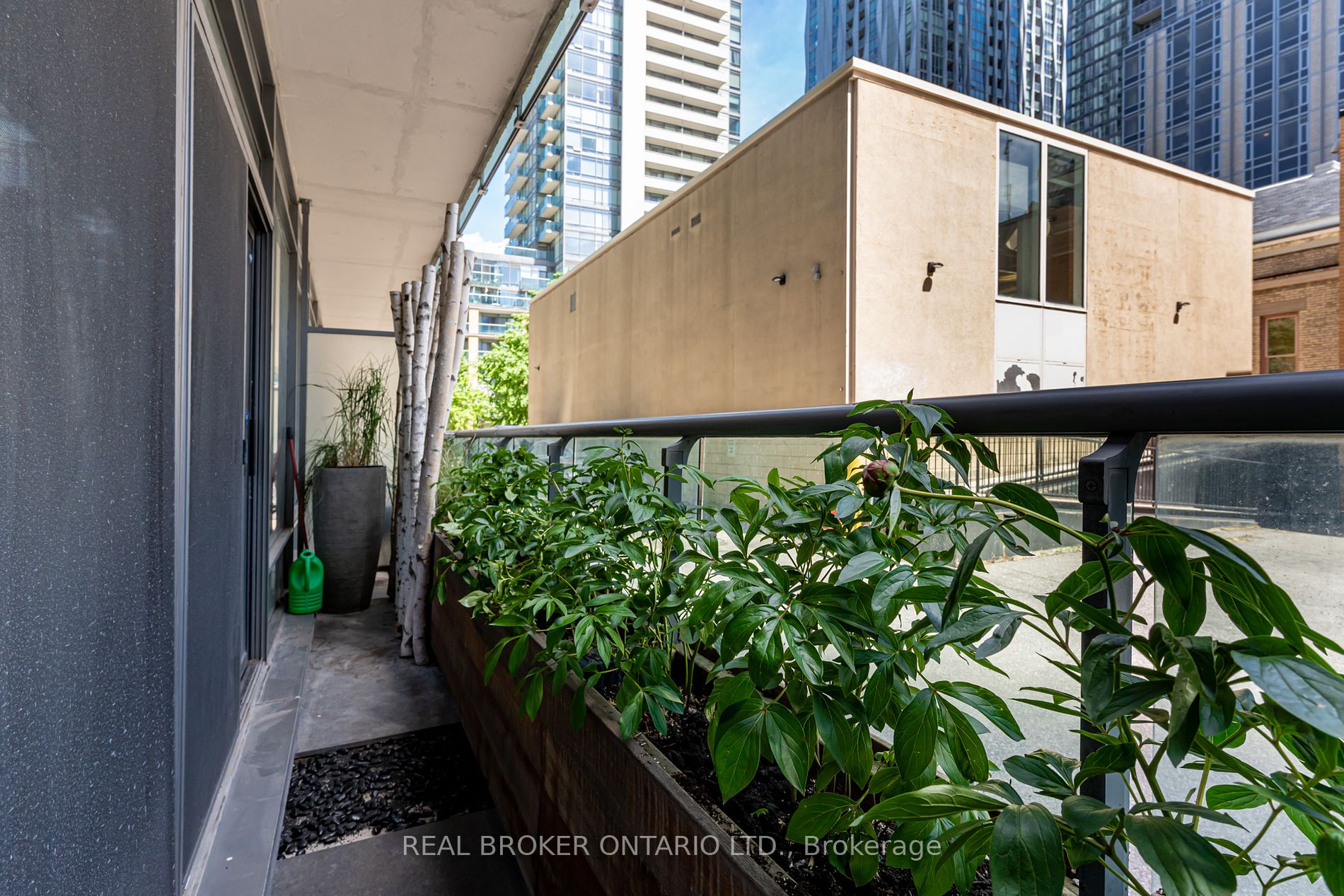 21 Scollard St 4 Property Photo 21
