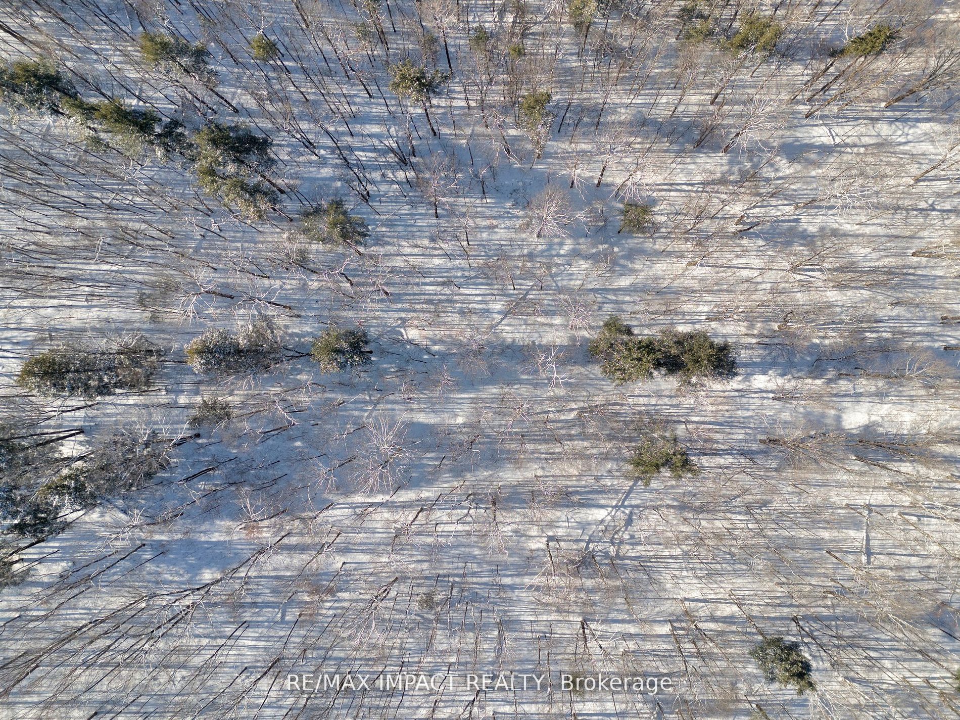 3488 Skelding Road Property Photo 6