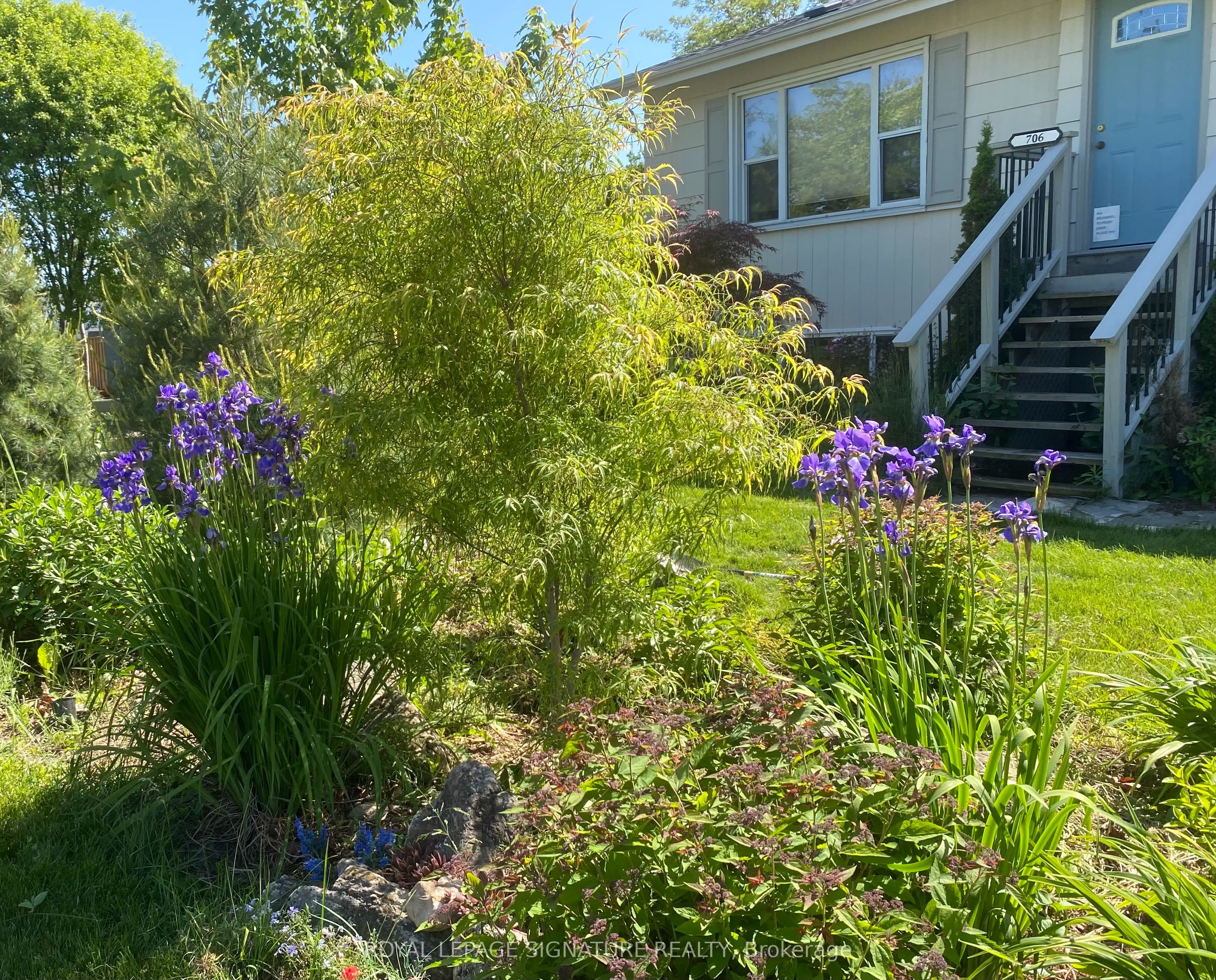 706 Annland Street Property Photo 21