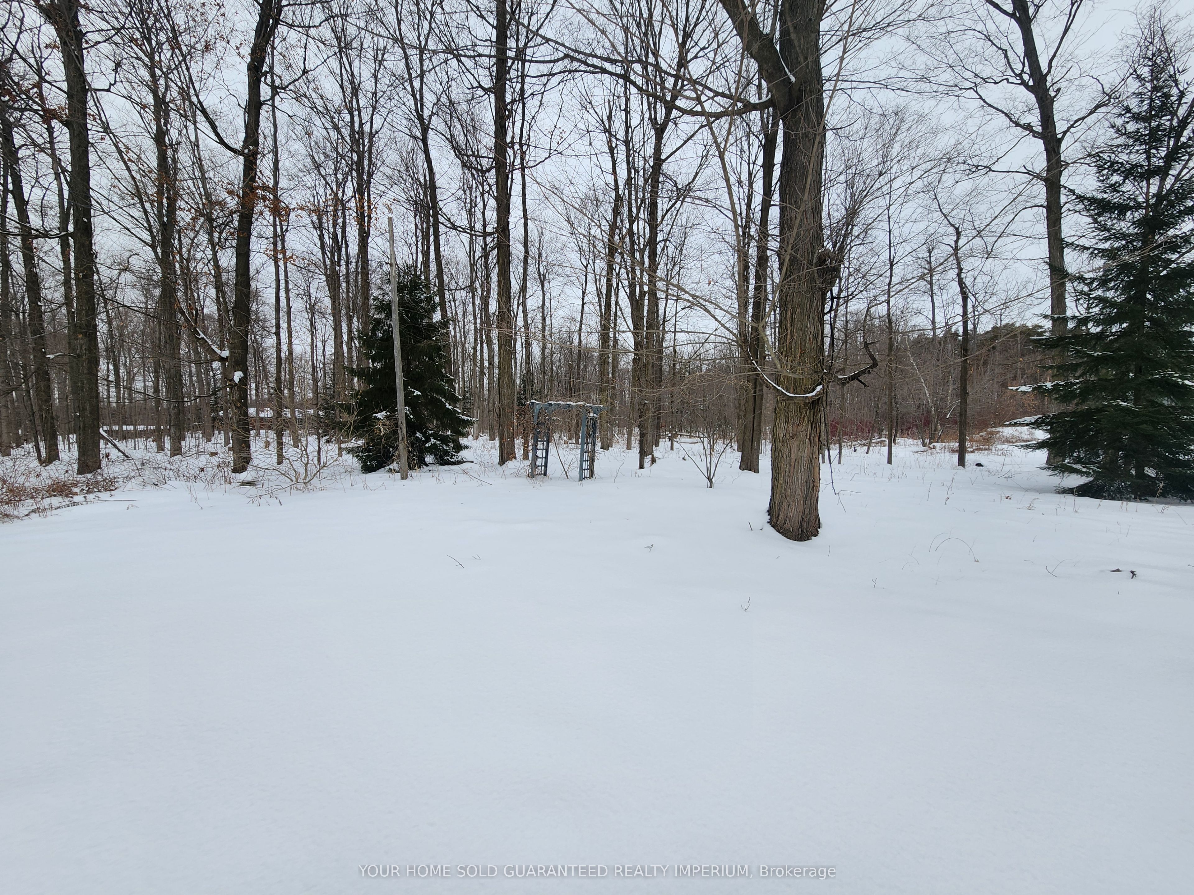 2370 Nash Road Property Photo 11