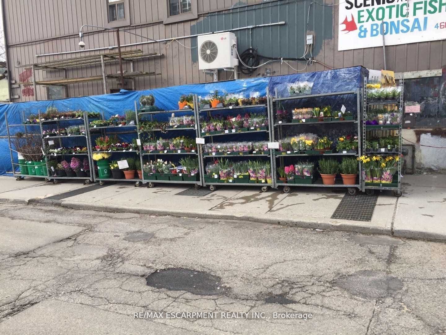 673 Gerrard Street Property Photo 6