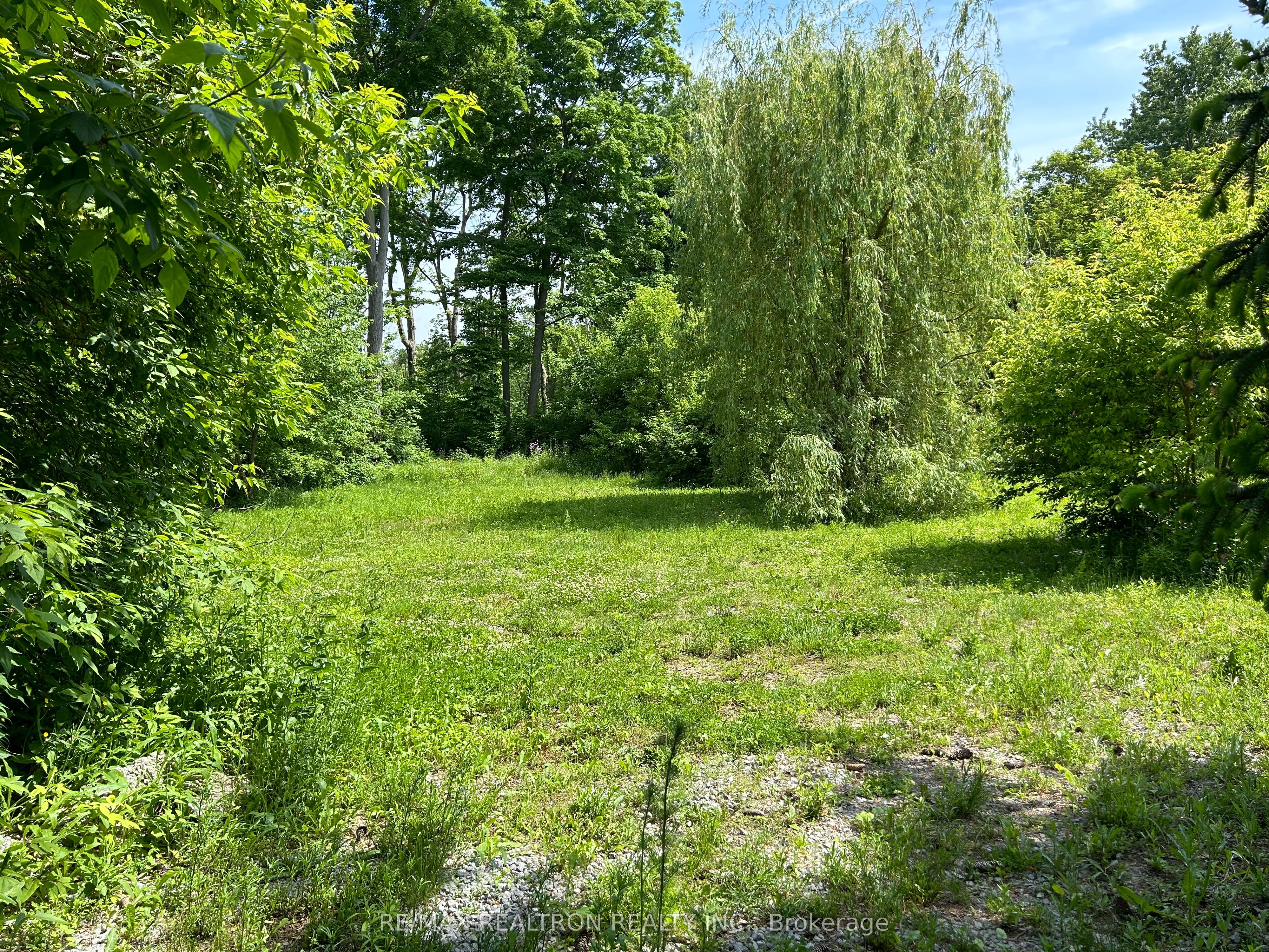 507 Rougemount(back Lot) Drive Property Photo 3