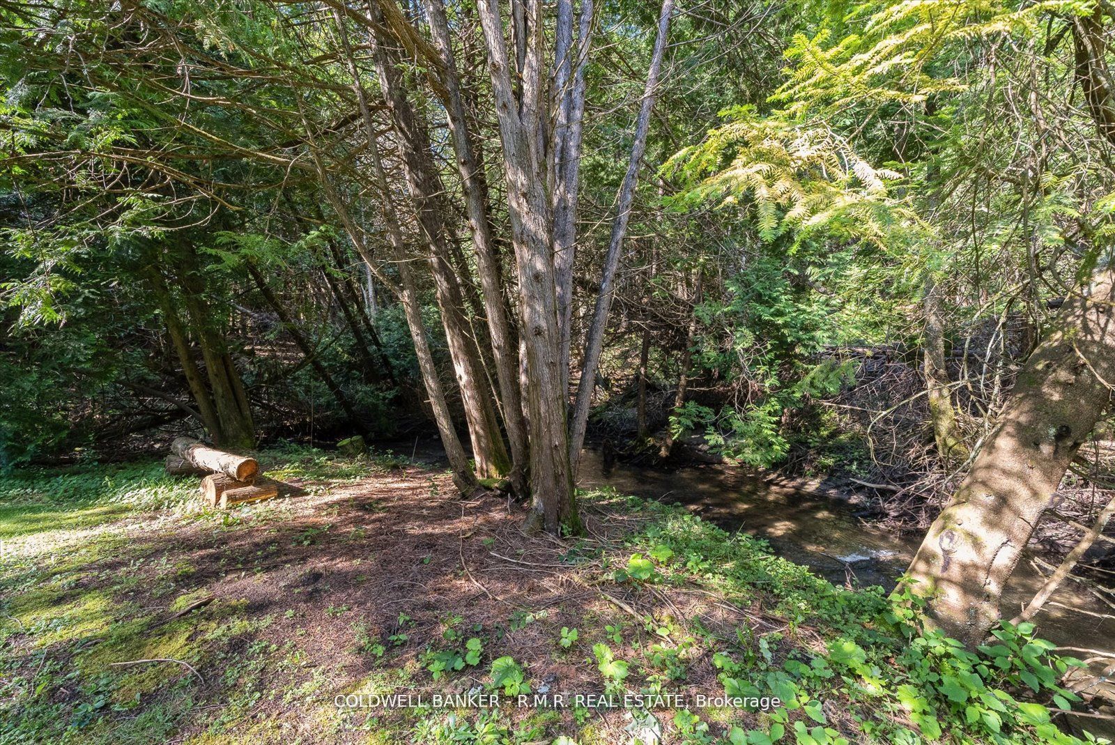 #7 - 4627 Ganaraska Road Property Photo 3