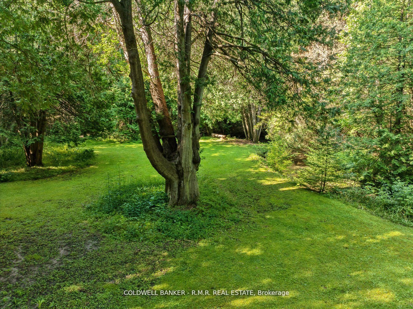 #7 - 4627 Ganaraska Road Property Photo 4