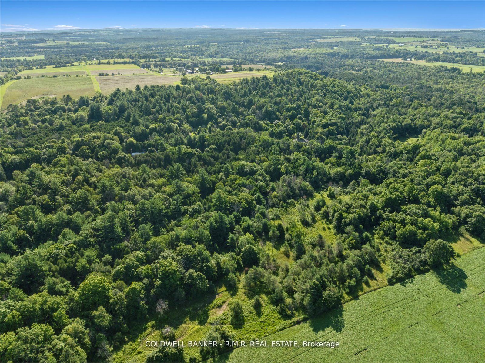 #7 - 4627 Ganaraska Road Property Photo 14