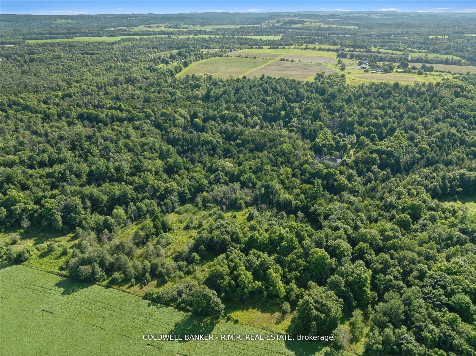#7 - 4627 Ganaraska Road Property Photo 16