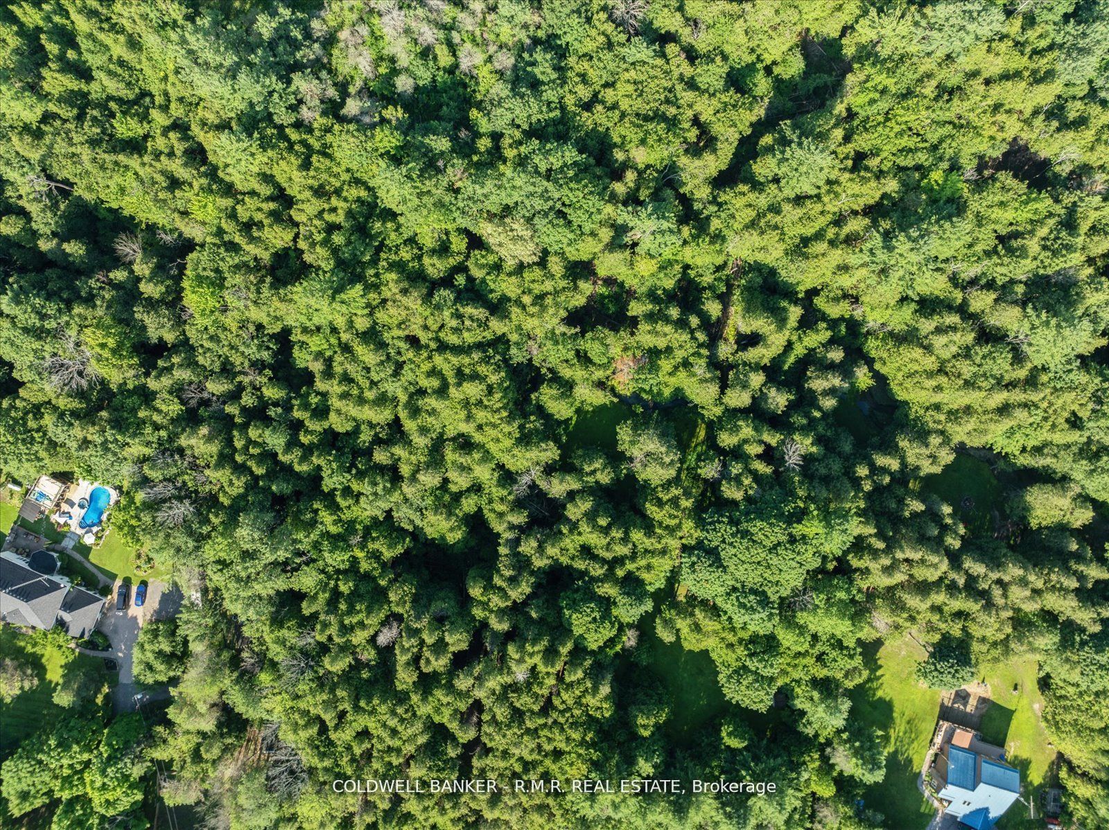 #7 - 4627 Ganaraska Road Property Photo 18