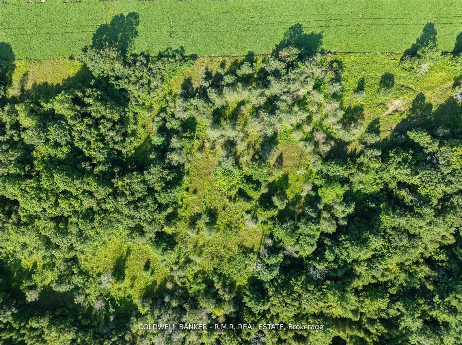 #7 - 4627 Ganaraska Road Property Photo 19