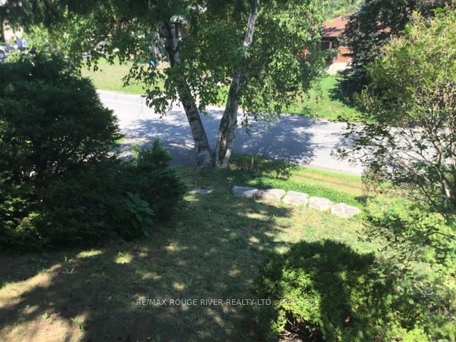 235 Island Road Property Photo 28