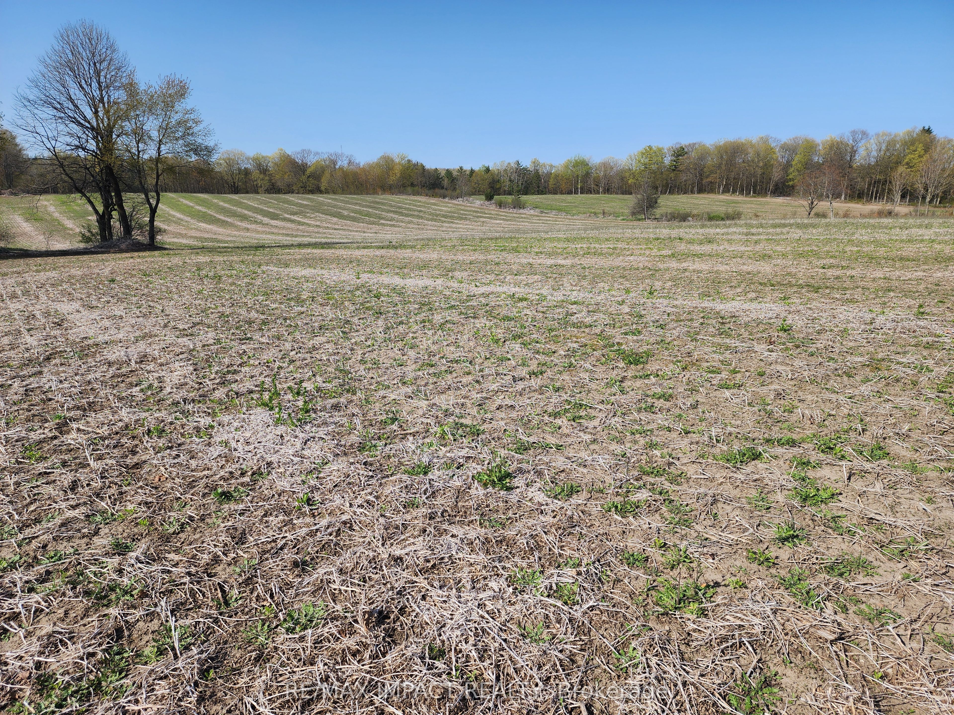 3488 Skelding Road Property Photo 4