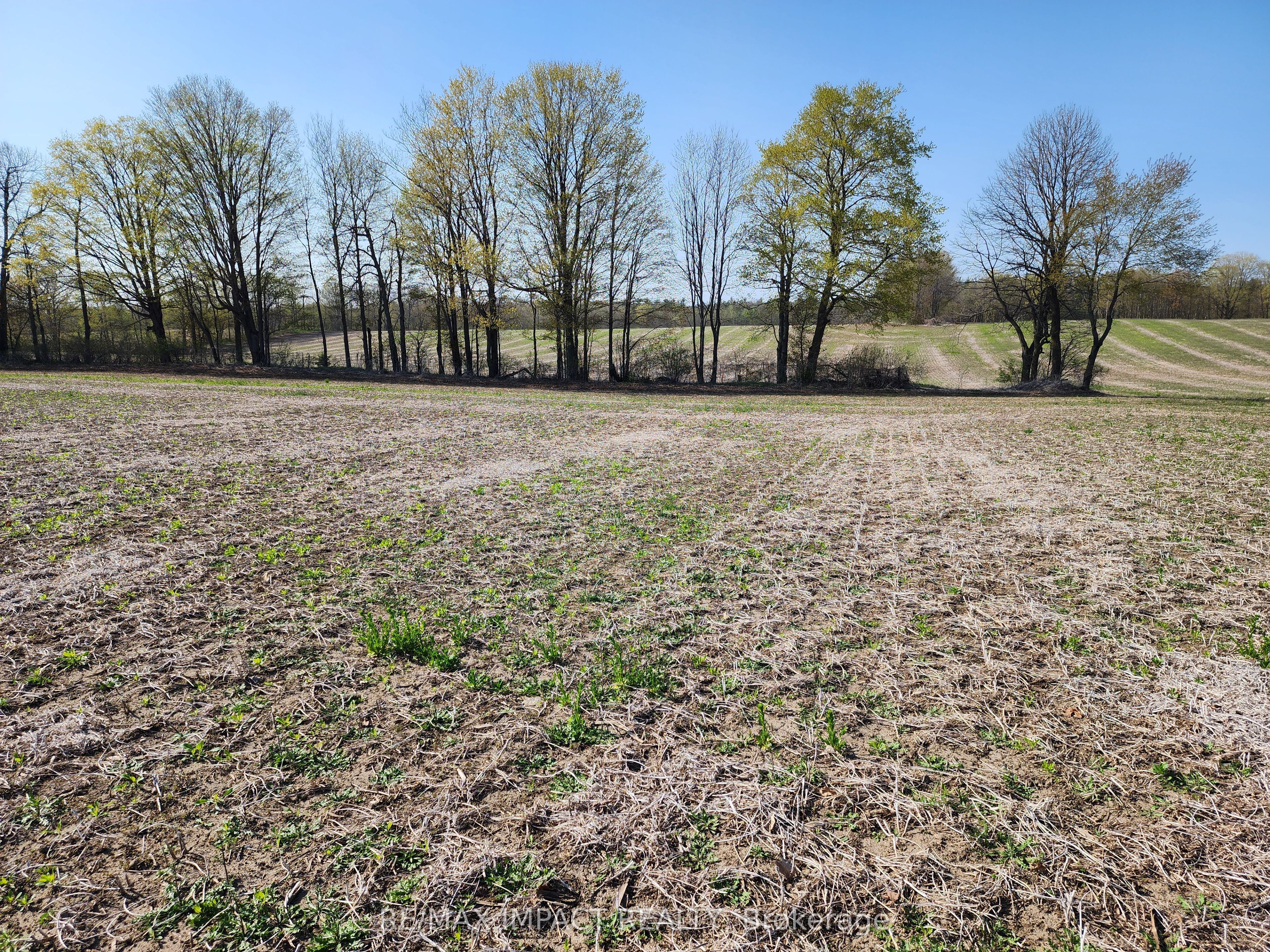3488 Skelding Road Property Photo 5