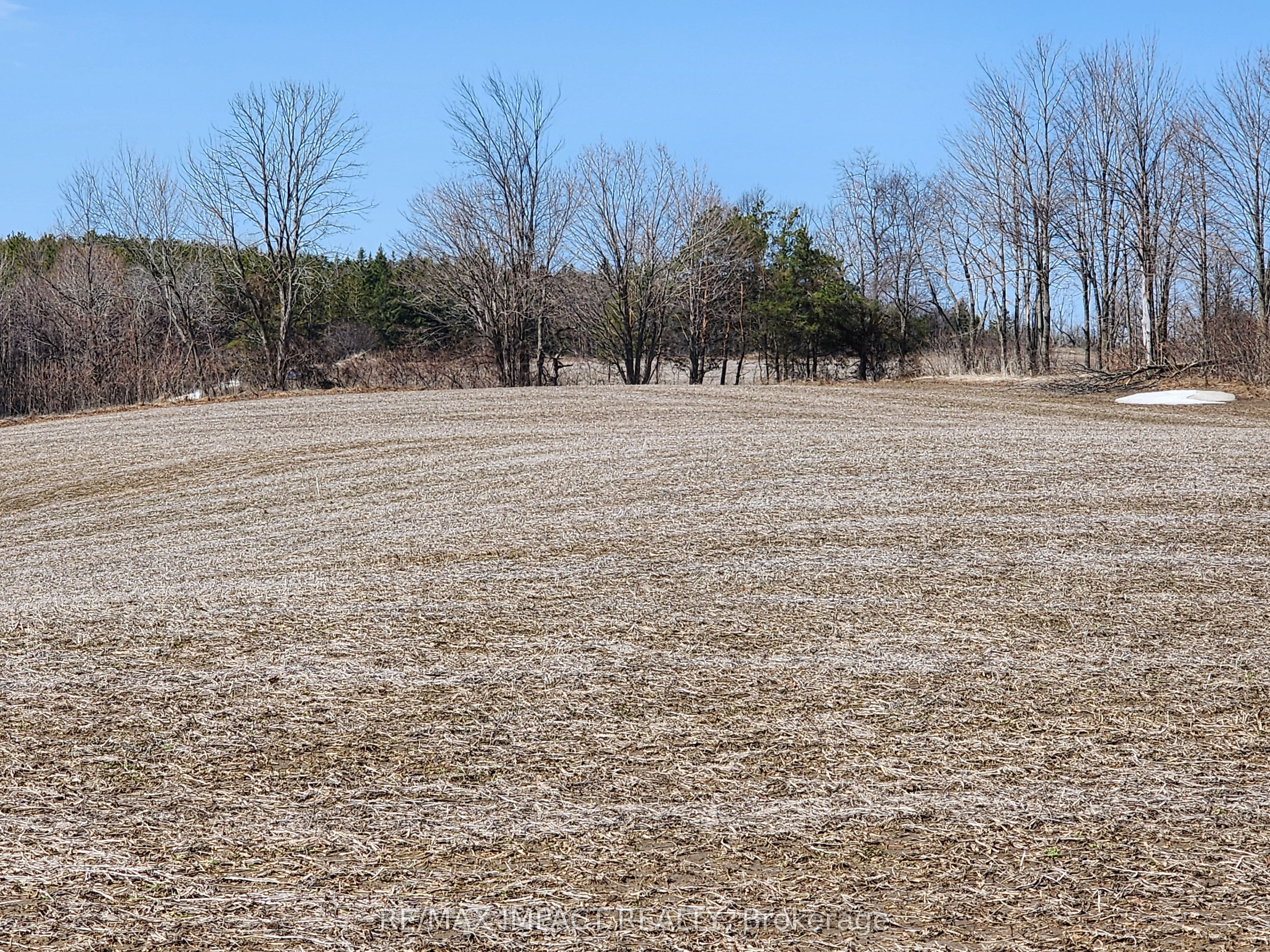 3488 Skelding Road Property Photo 7