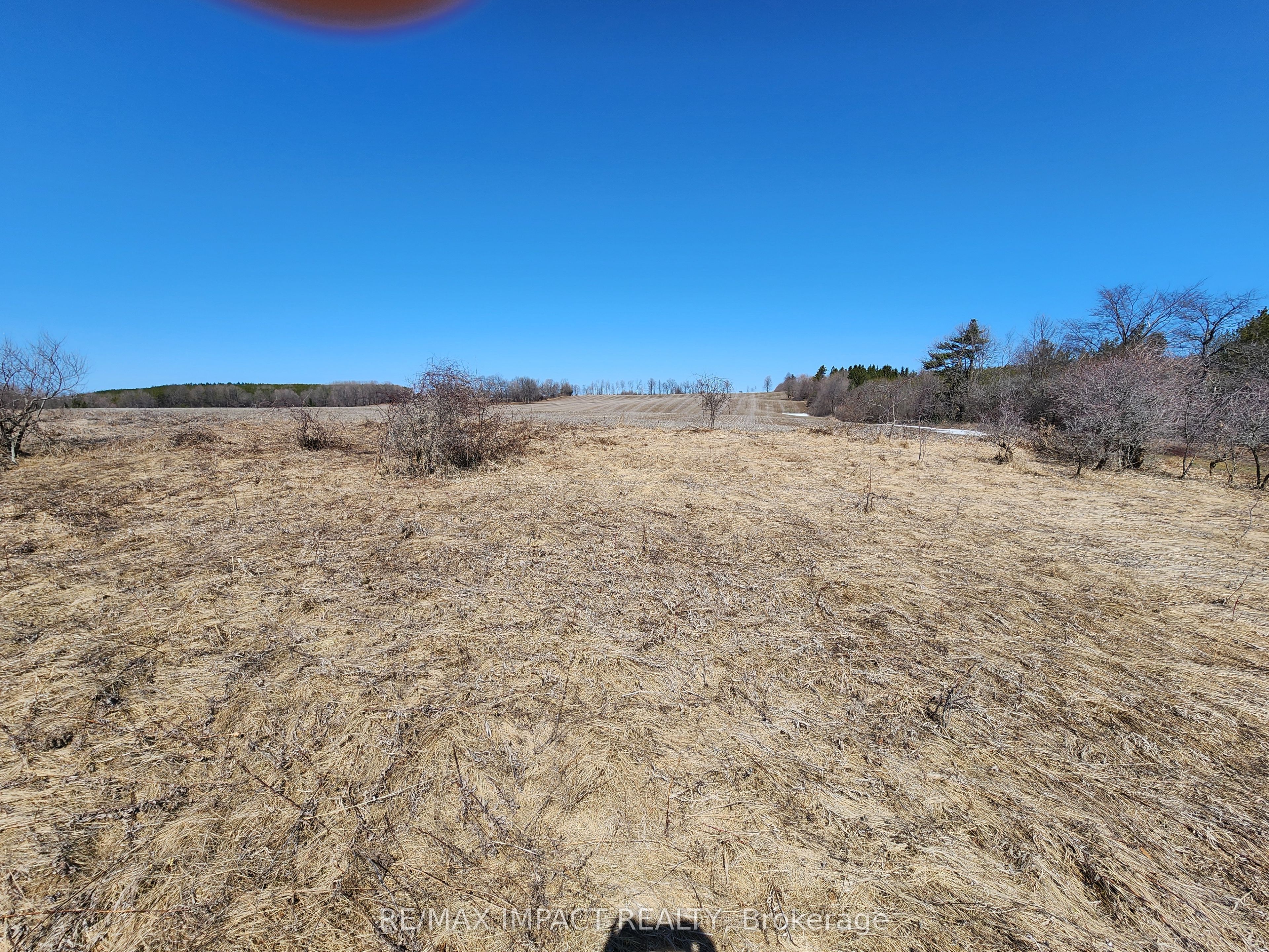 3488 Skelding Road Property Photo 10