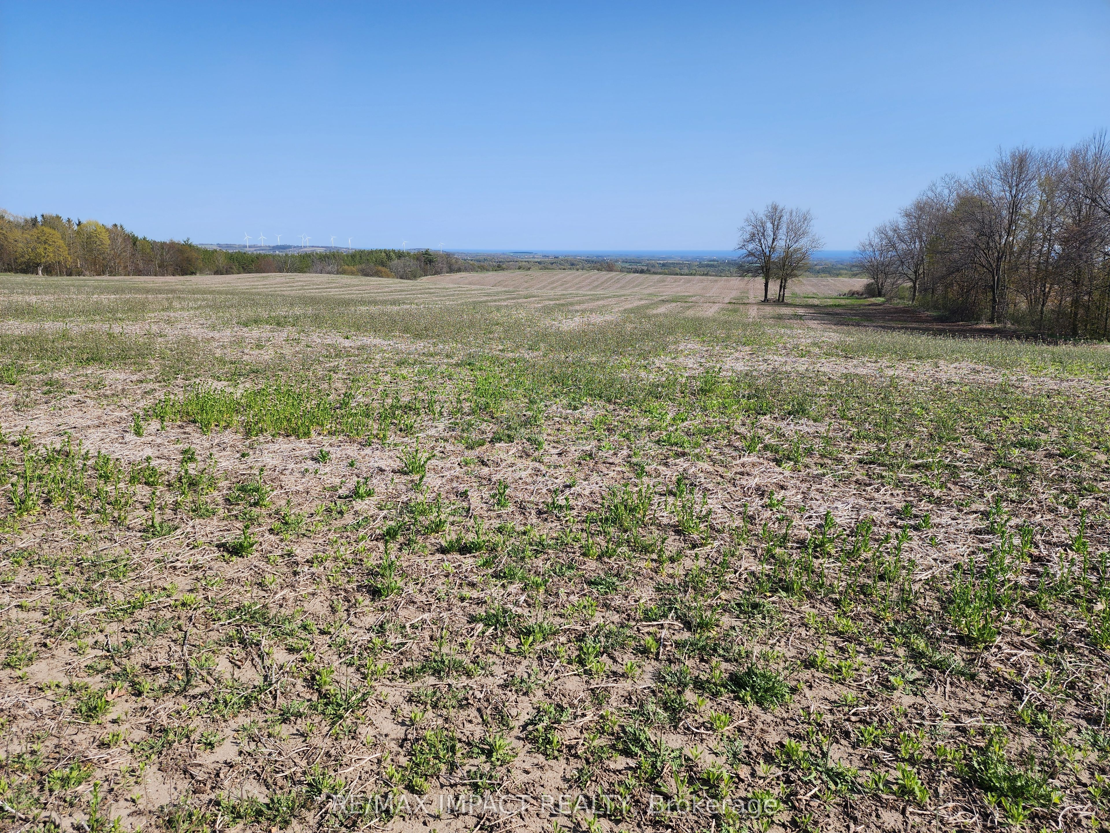 3488 Skelding Road Property Photo 22