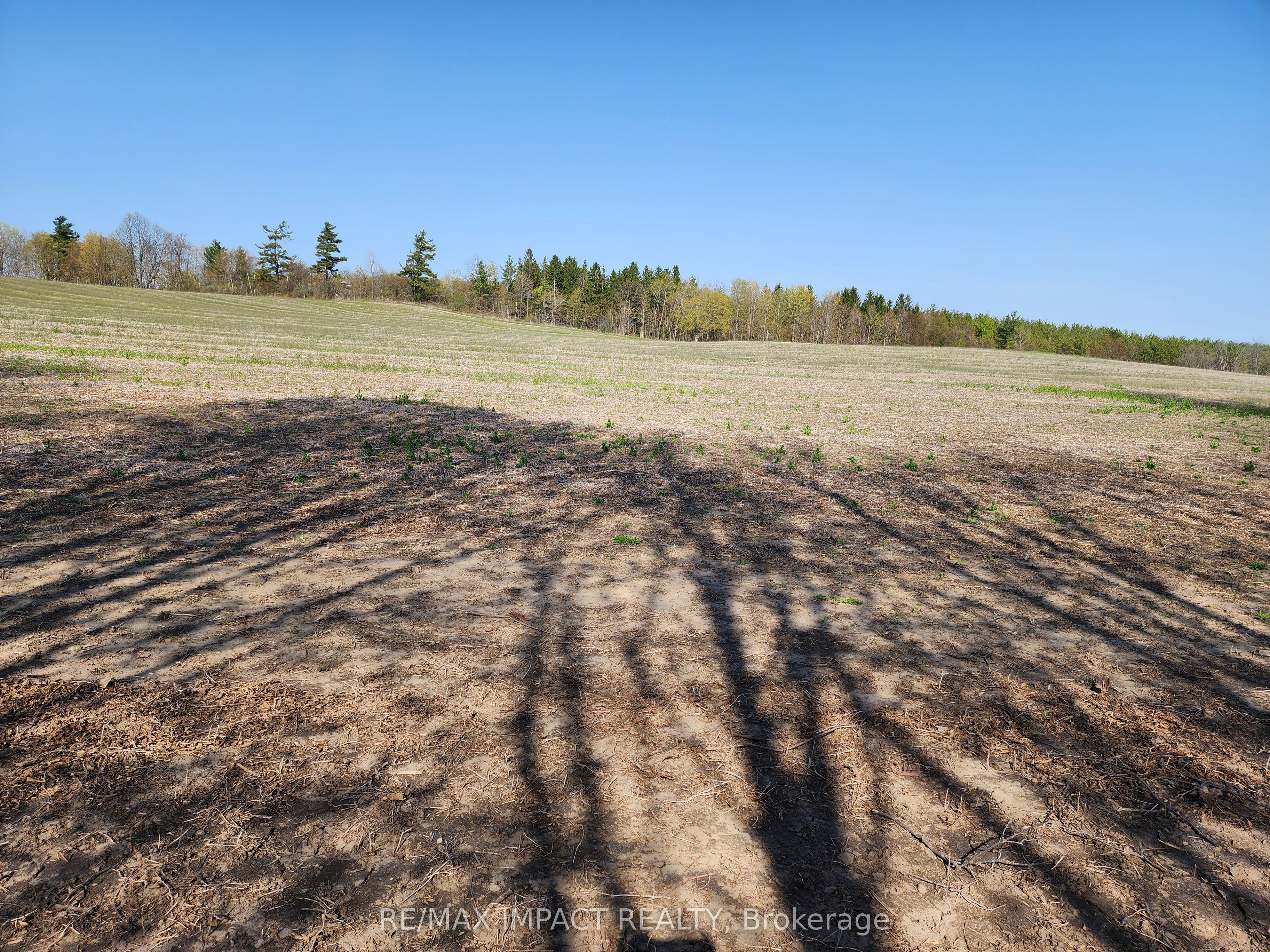 3488 Skelding Road Property Photo 23