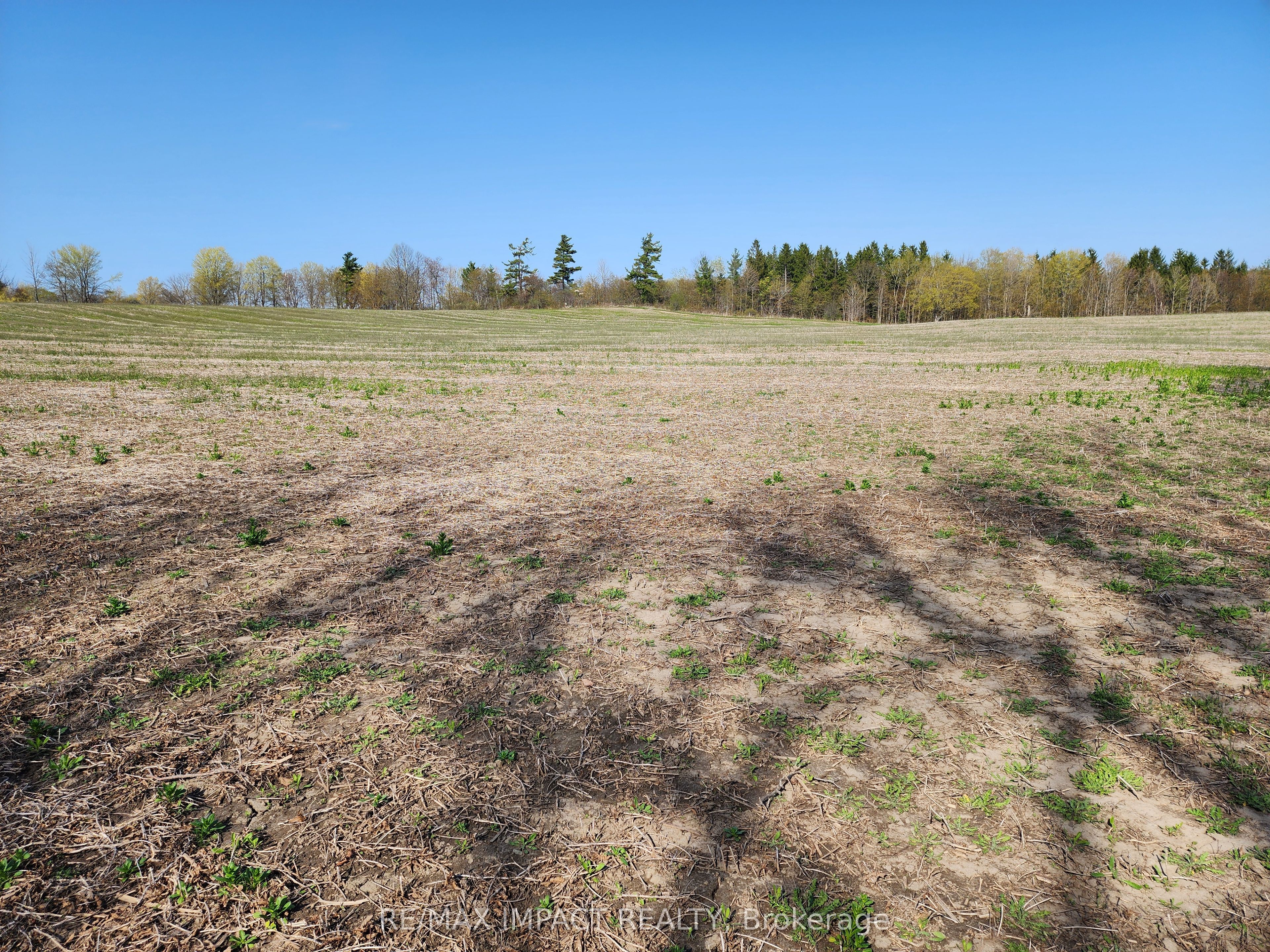 3488 Skelding Road Property Photo 24