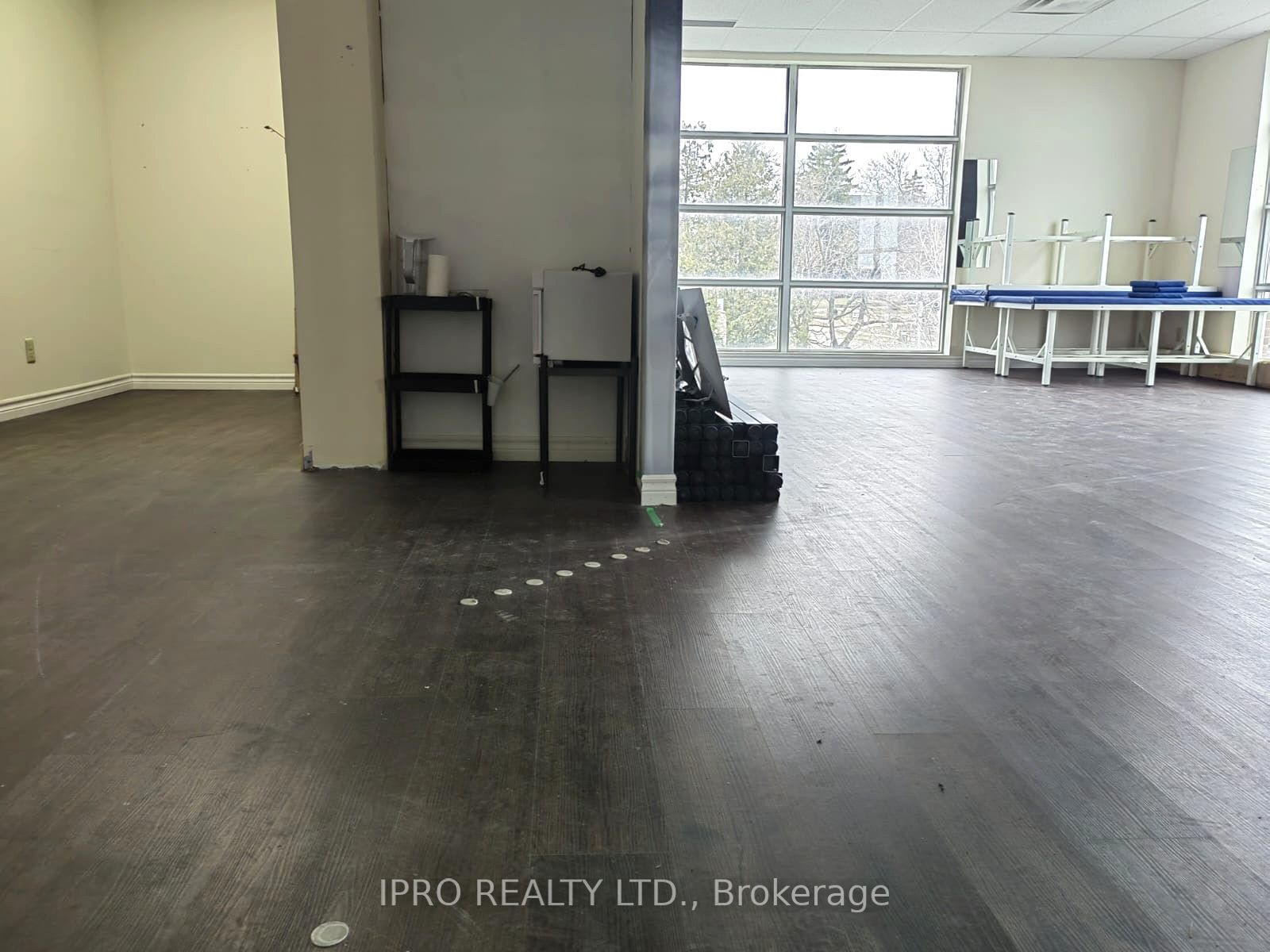 #301 - 490 Kingston Road Property Photo 5