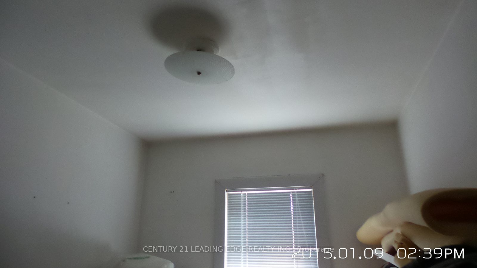 410 Danforth Avenue Property Photo 10