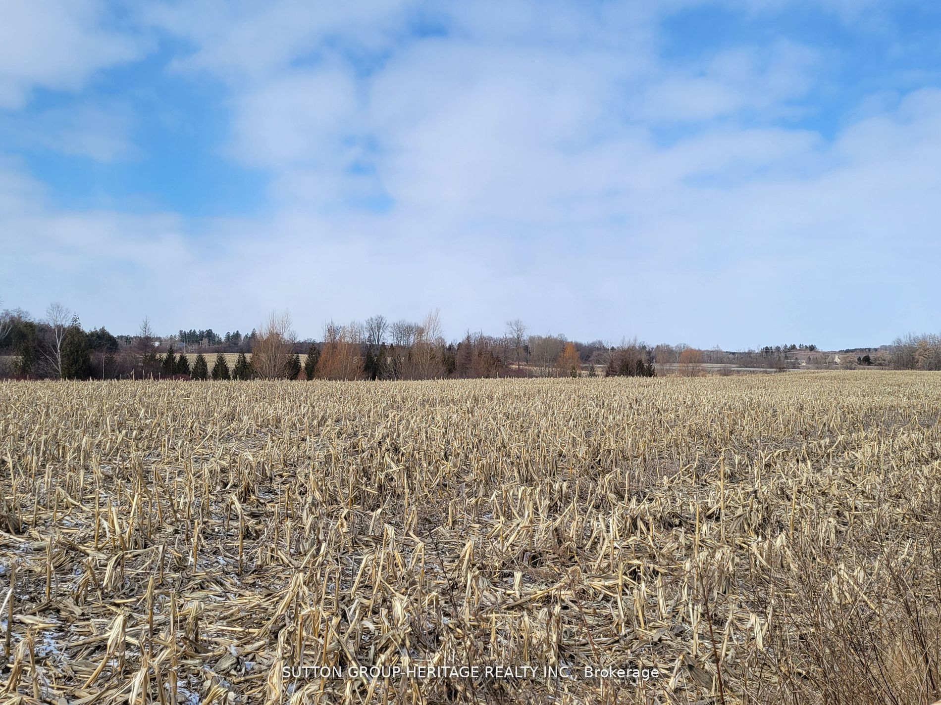 9760 Ashburn Road Property Photo 4