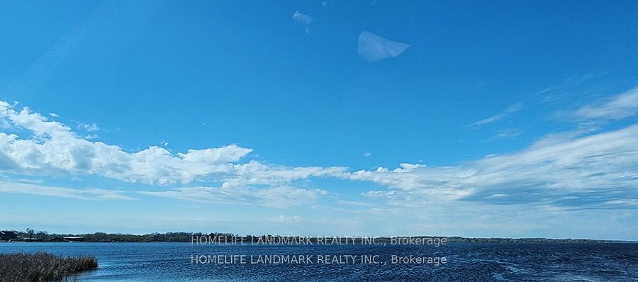 41 Pettet Drive Property Photo 17