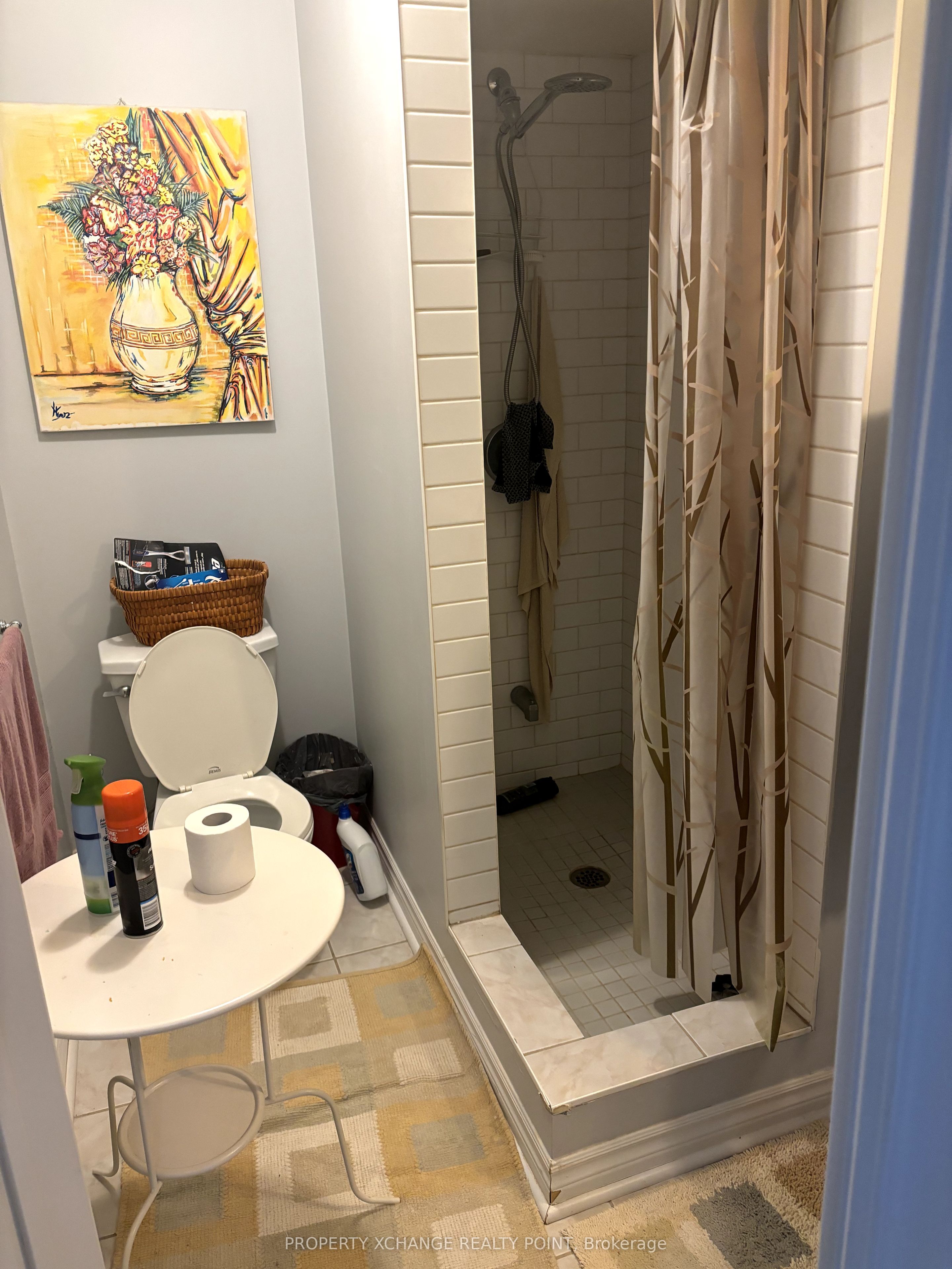 258 Shadow Place Basement Property Photo 7