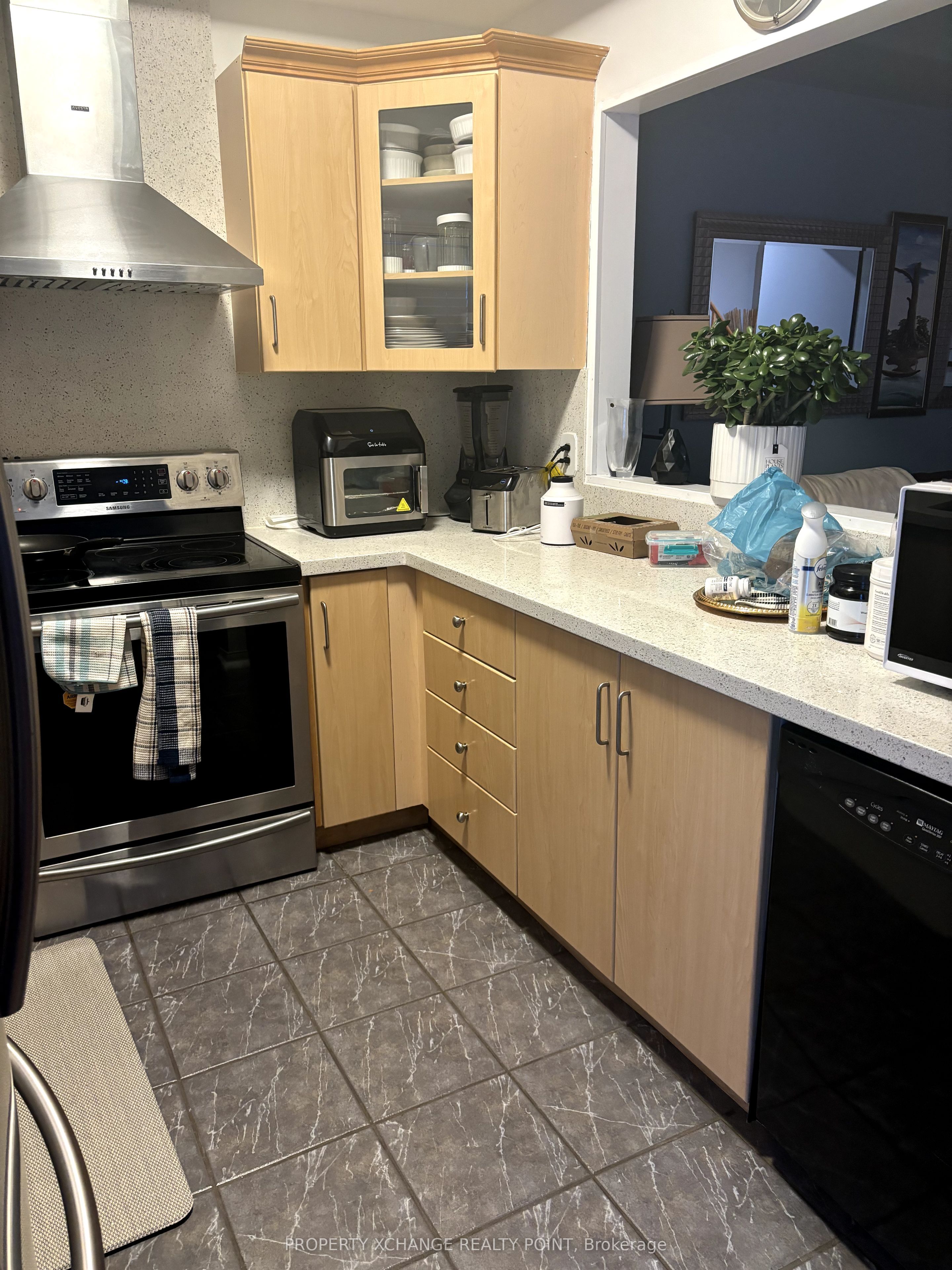 258 Shadow Place Basement Property Photo 8