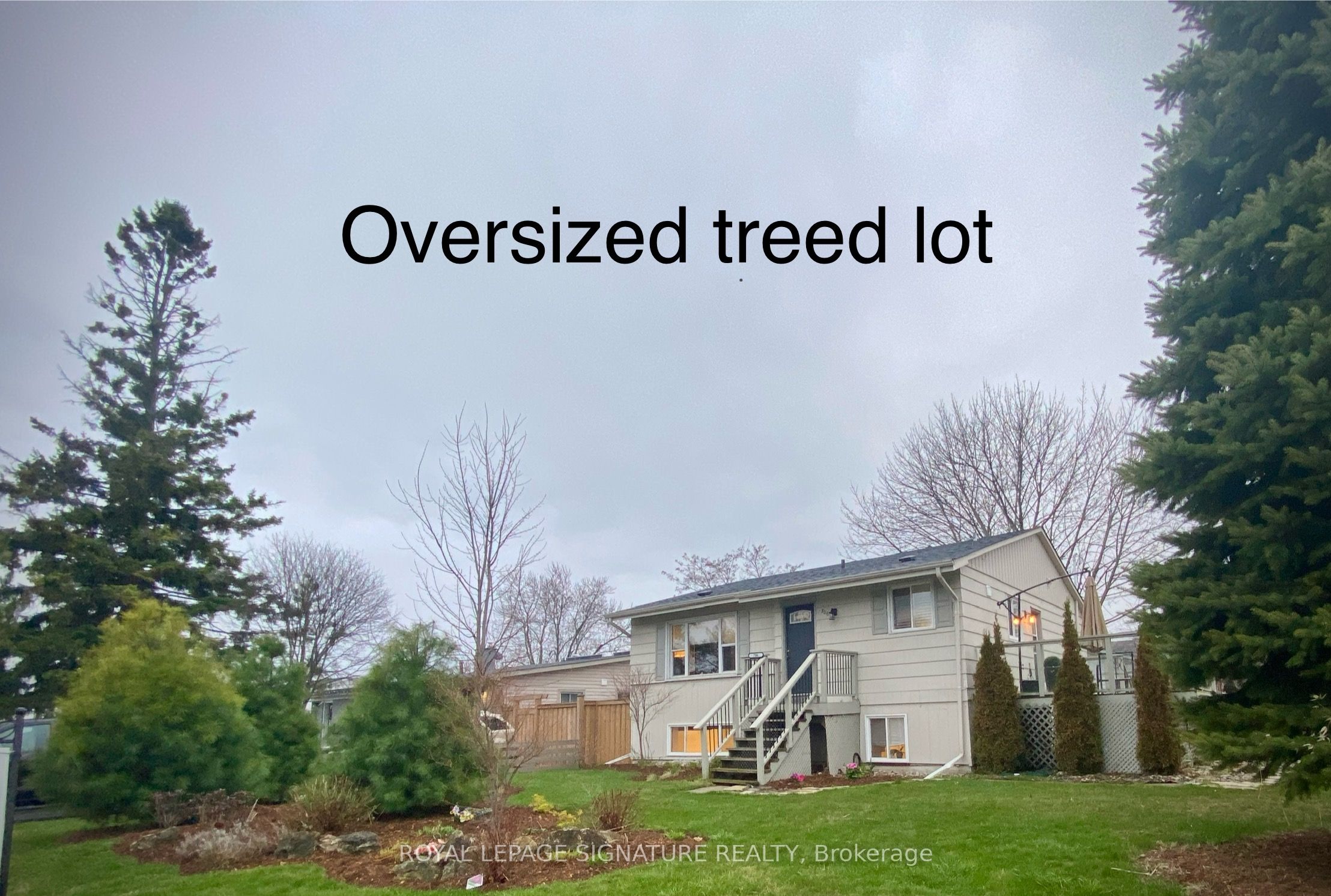 706 Annland St Property Photo 5