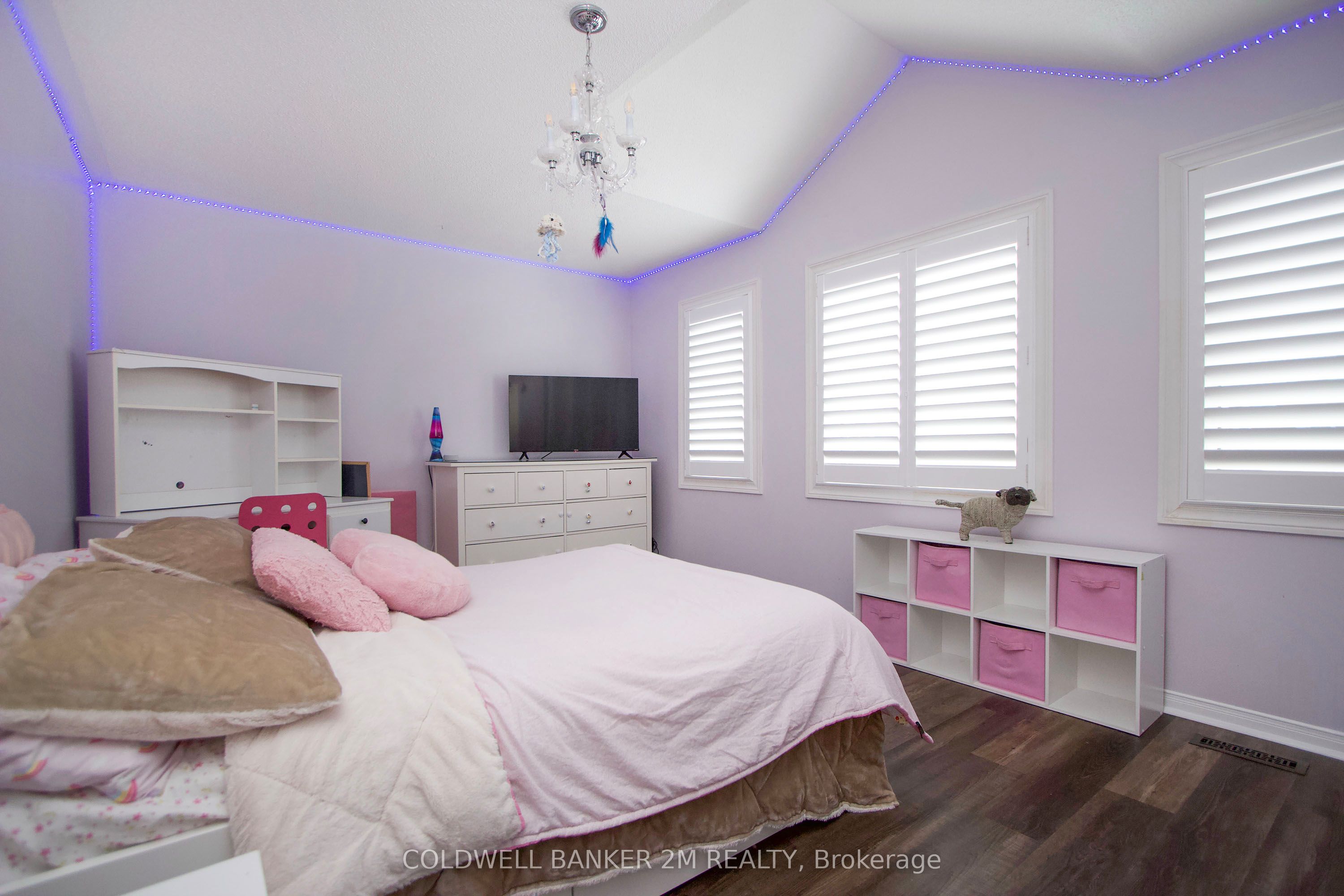 3 Pogson Drive Property Photo 28