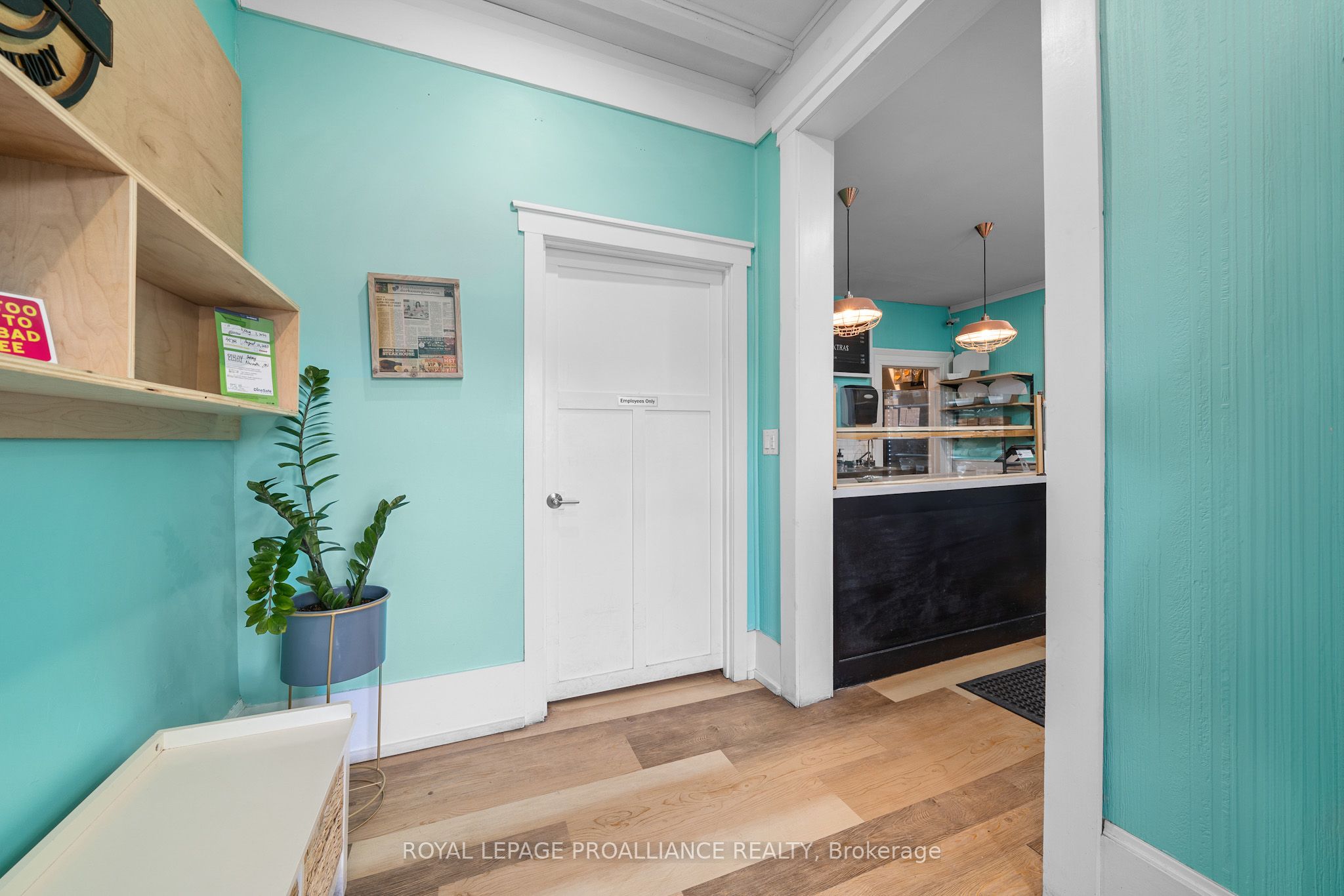 29 King Avenue Property Photo 6