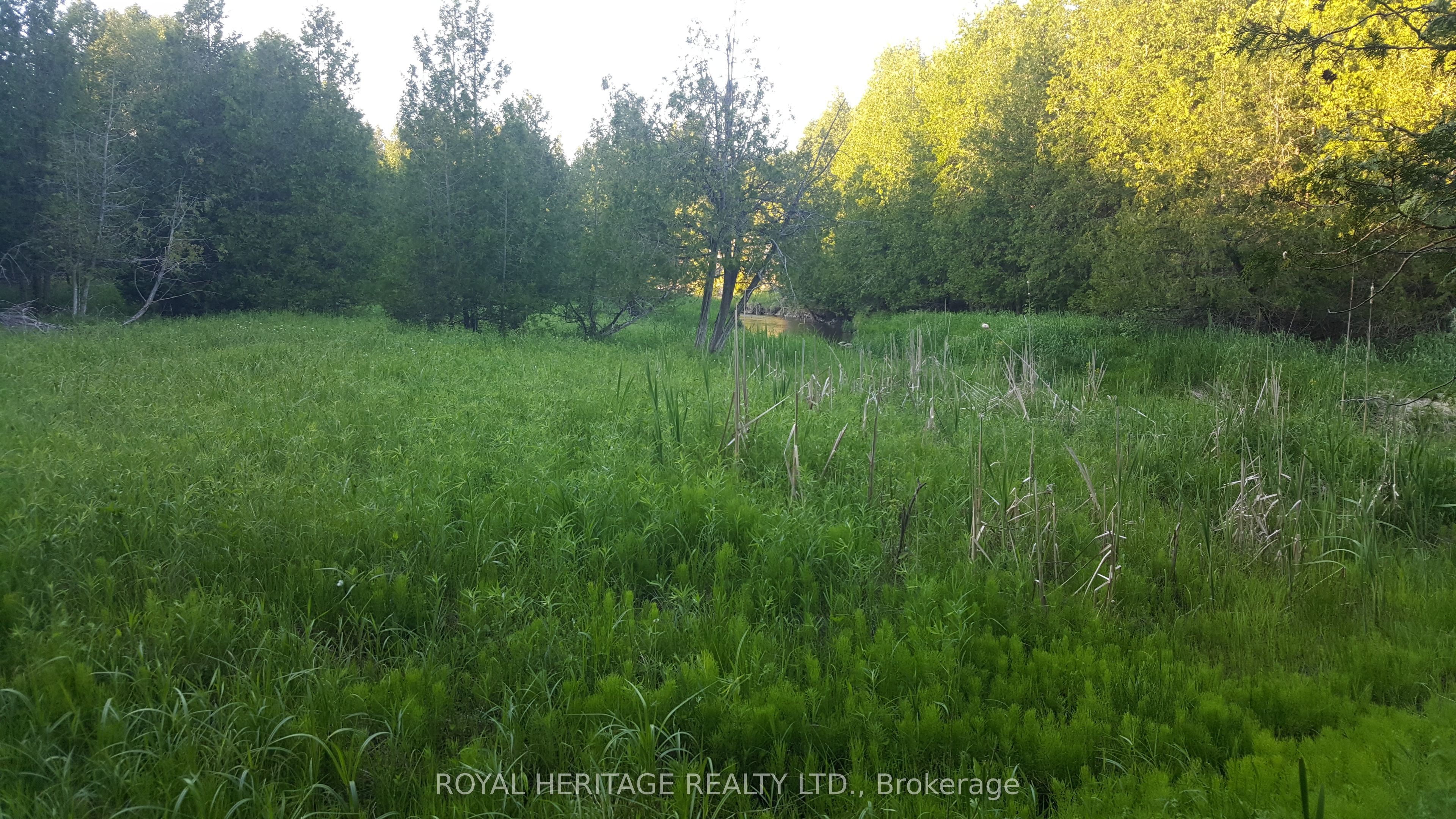 1855 Stevenson Road N Property Photo 7