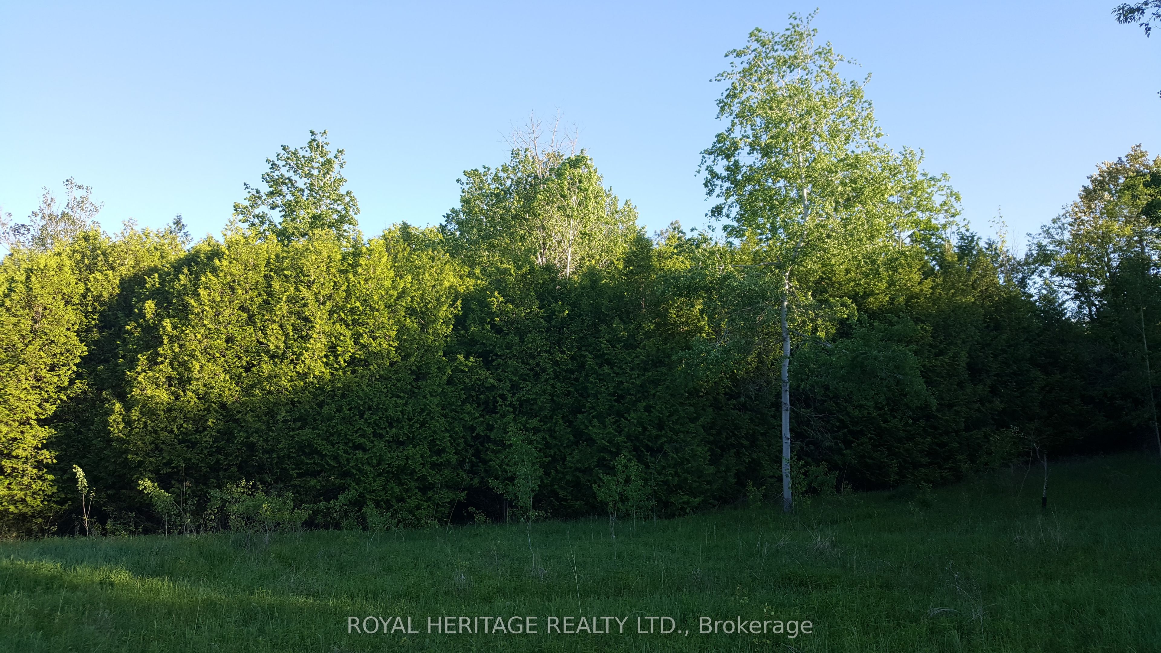 1855 Stevenson Road N Property Photo 8