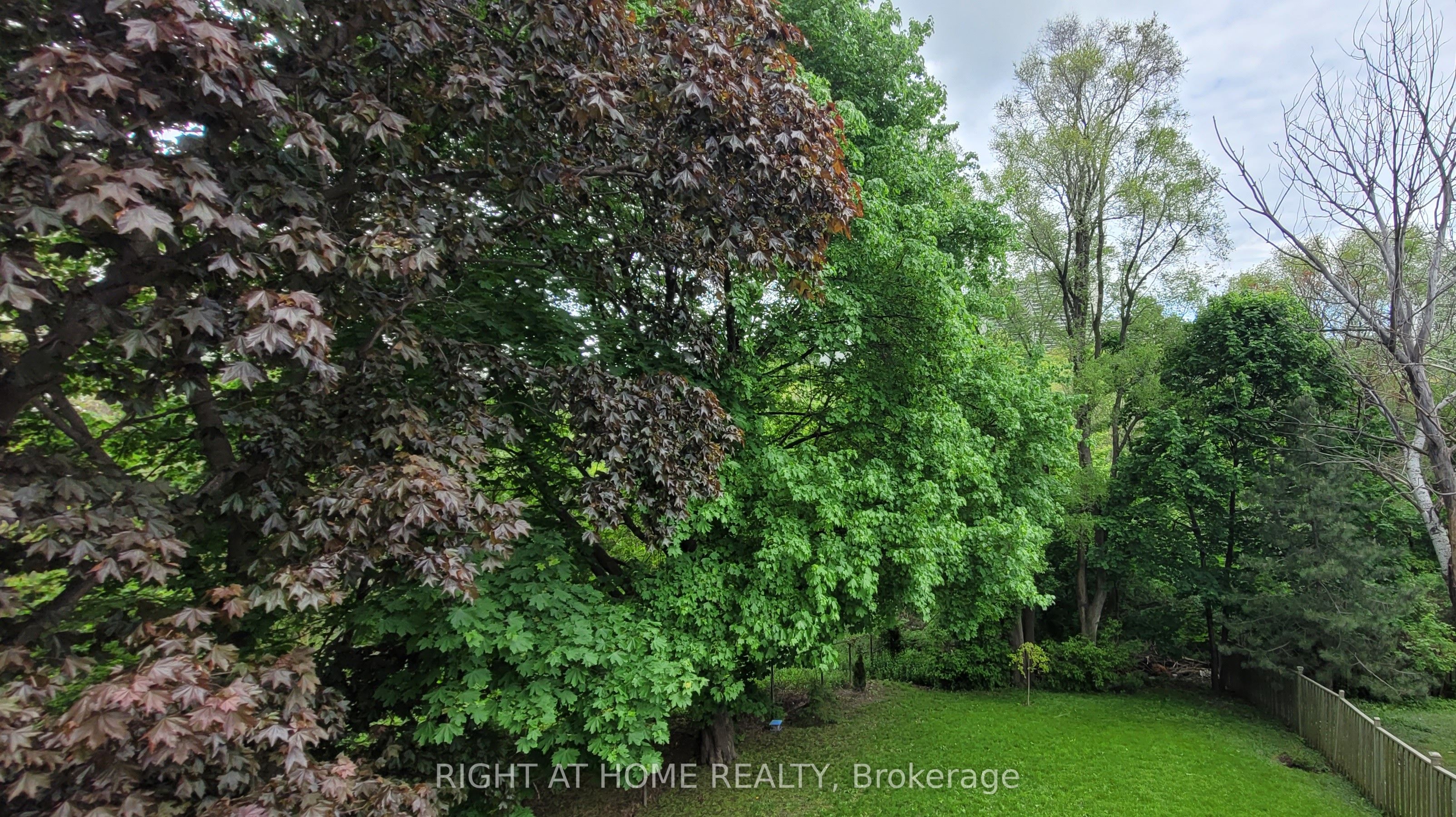 475 Donlands Avenue Property Photo 34