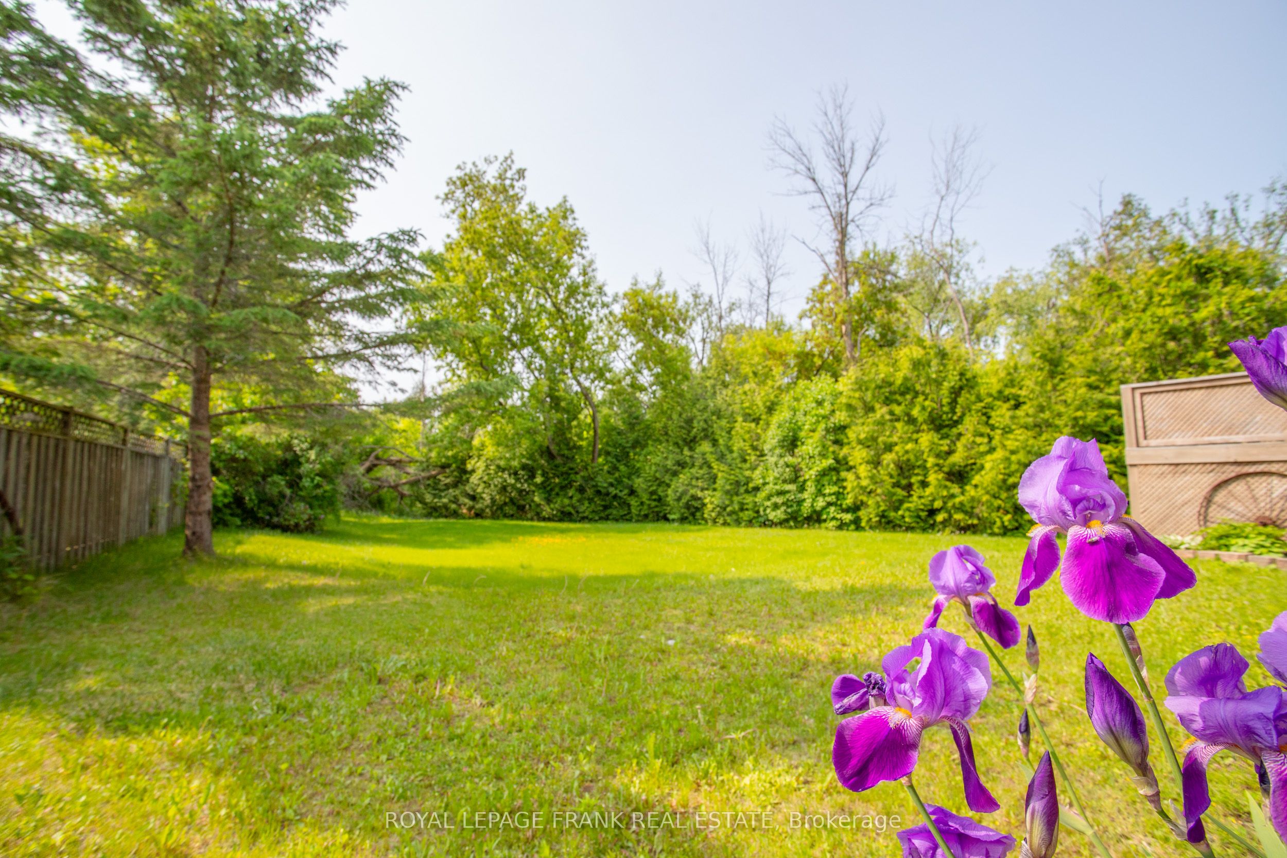 3818 Regional Road Property Photo 33