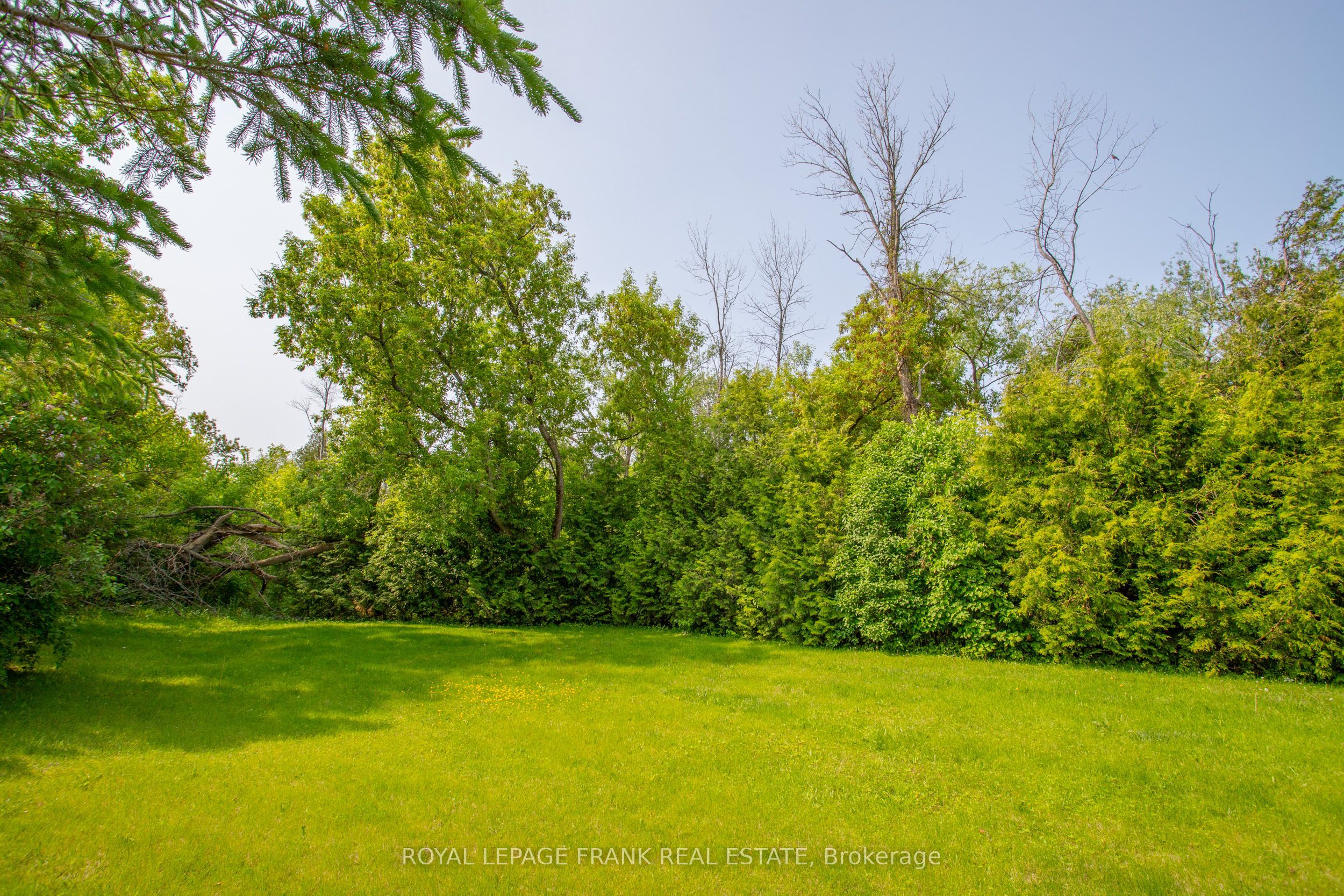 3818 Regional Road Property Photo 34