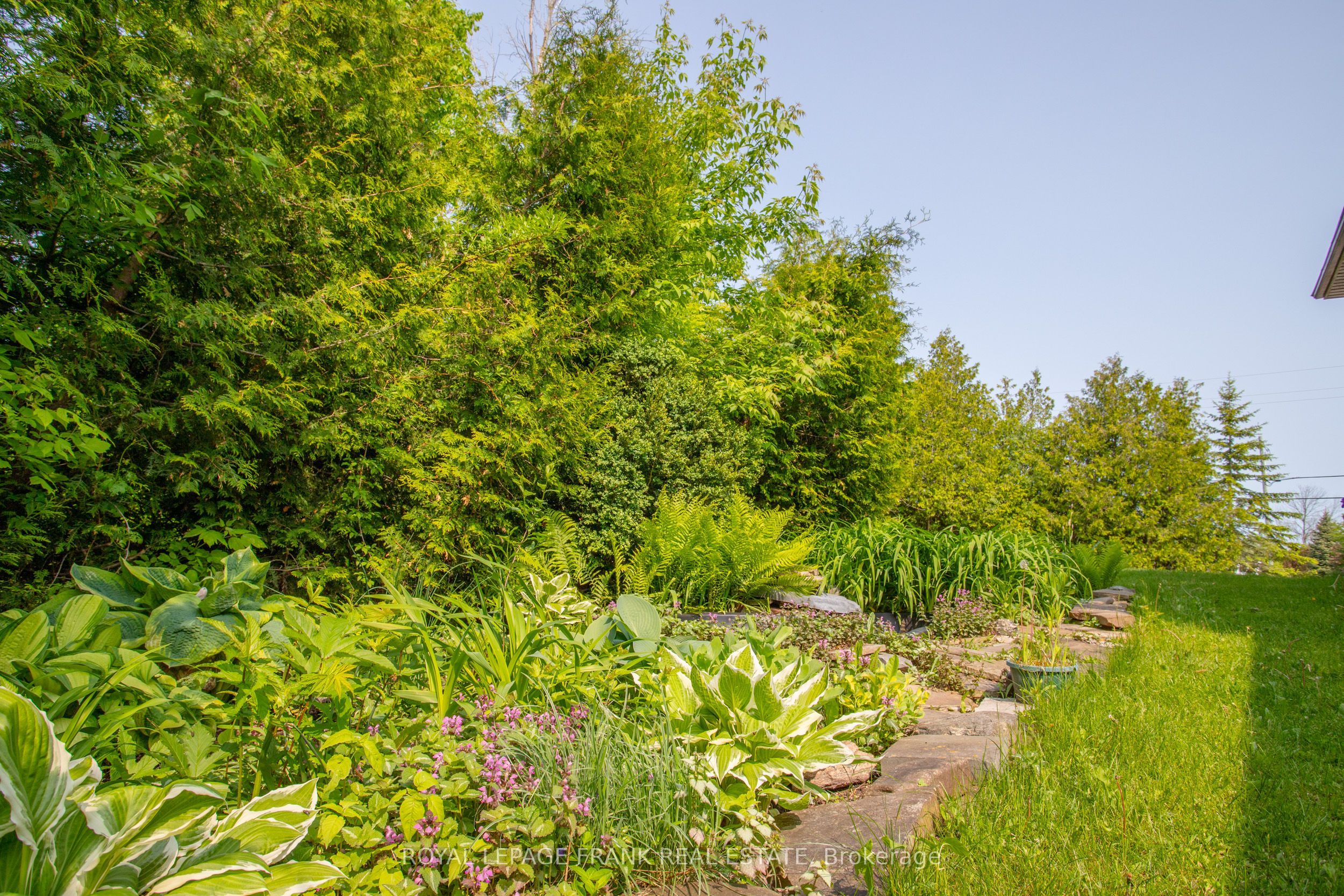 3818 Regional Road Property Photo 35