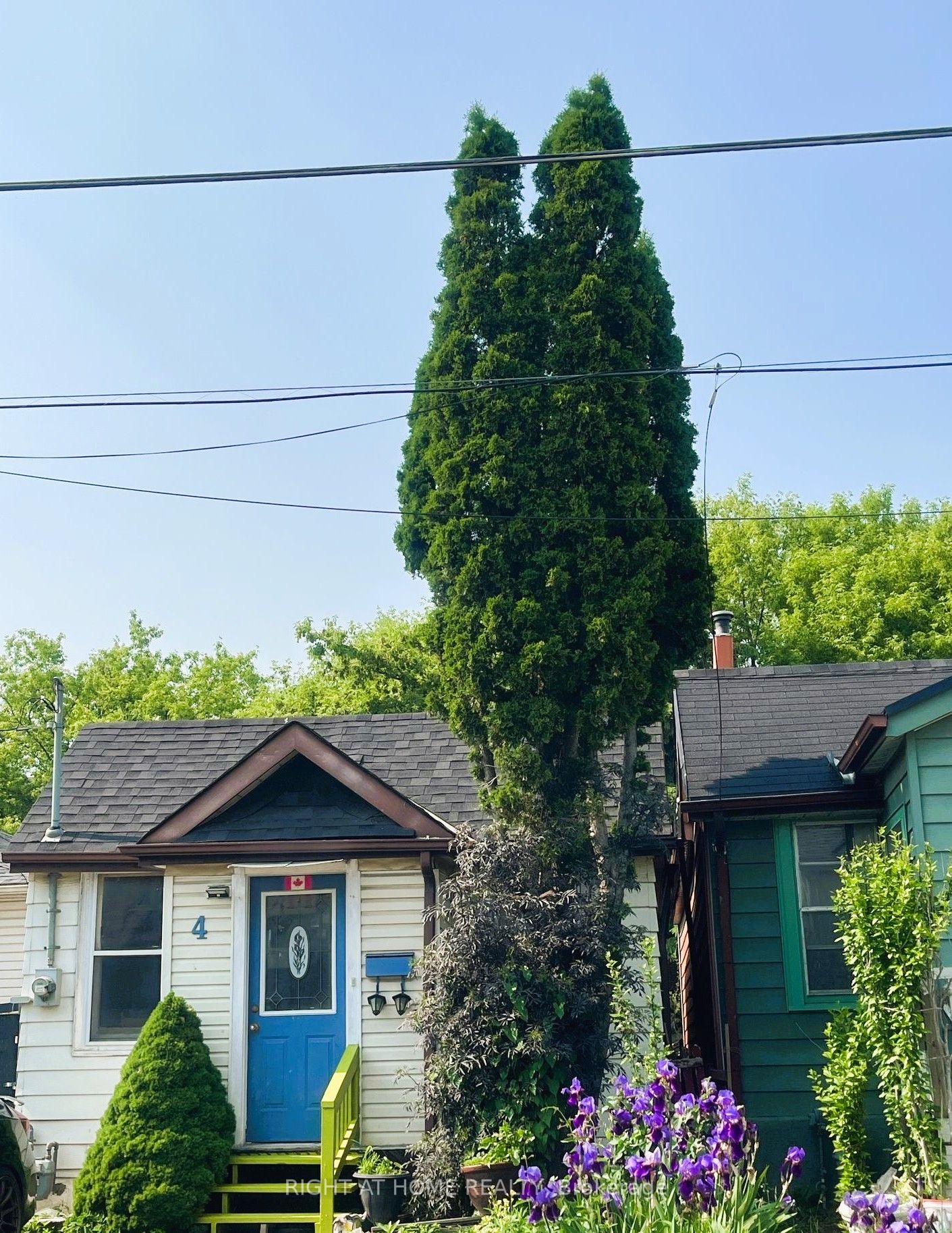 4 Lucy Avenue Property Photo 1