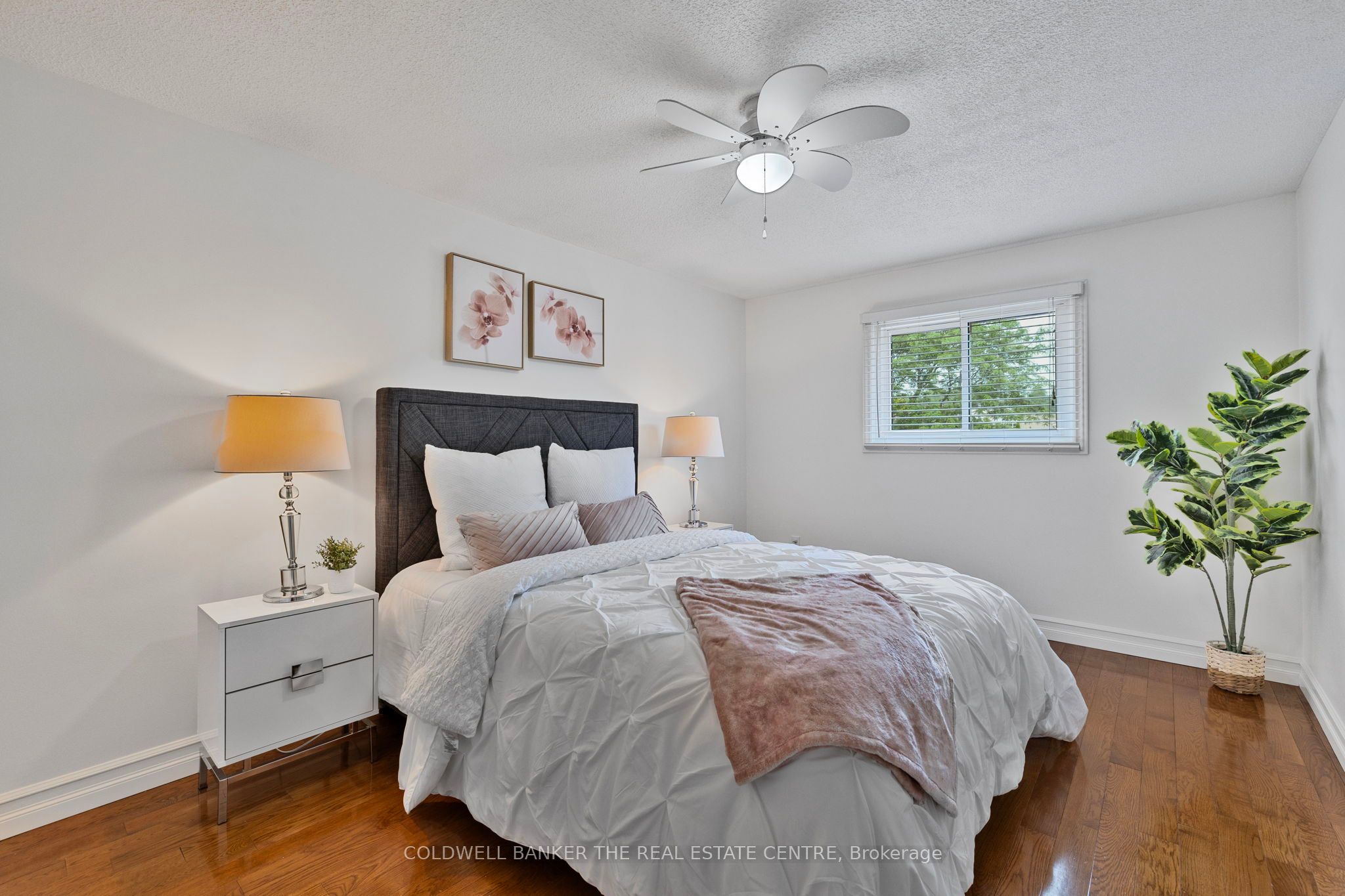 856 Crowells Street Property Photo 22
