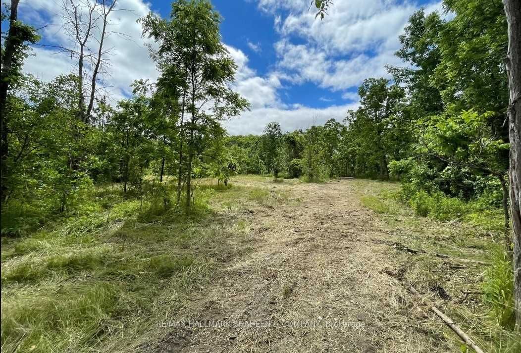 0 7 Highway Property Photo 12