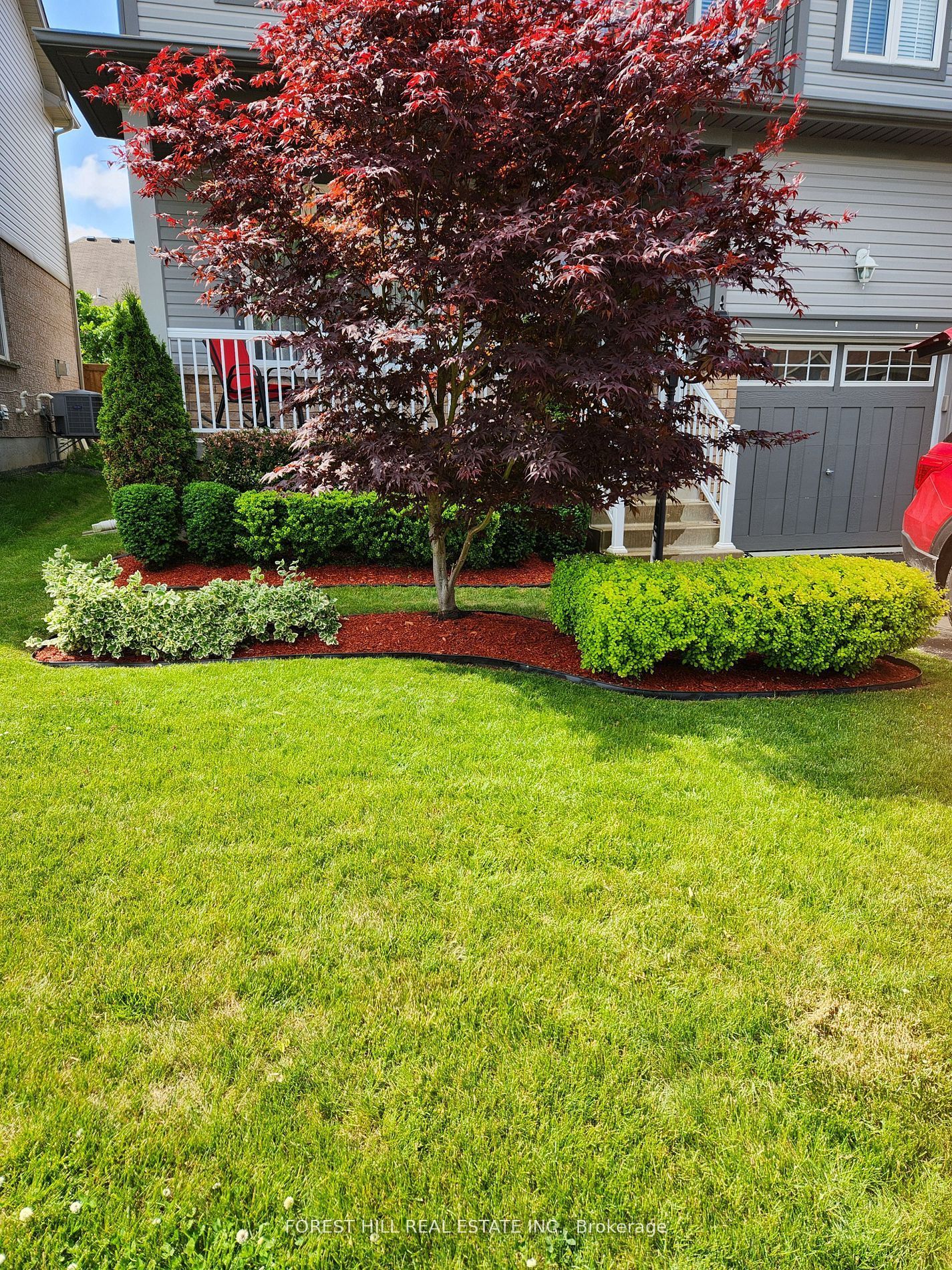 189 Milligan Street Property Photo 20