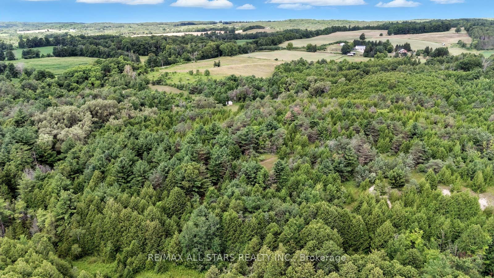 8287 Allin Road Property Photo 13