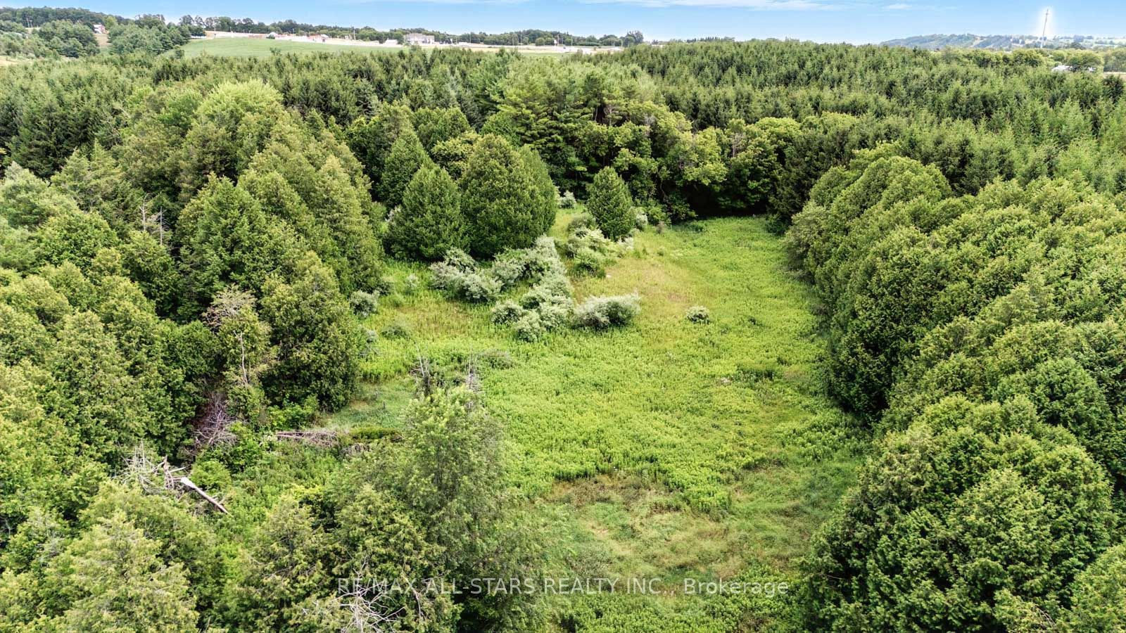8287 Allin Road Property Photo 14