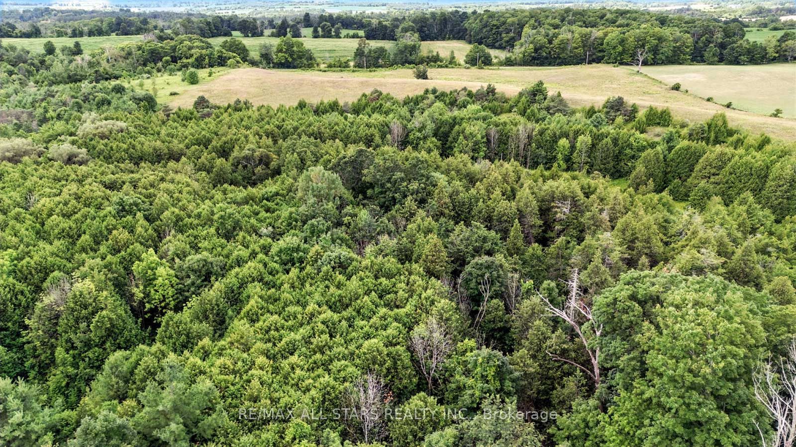 8287 Allin Road Property Photo 16