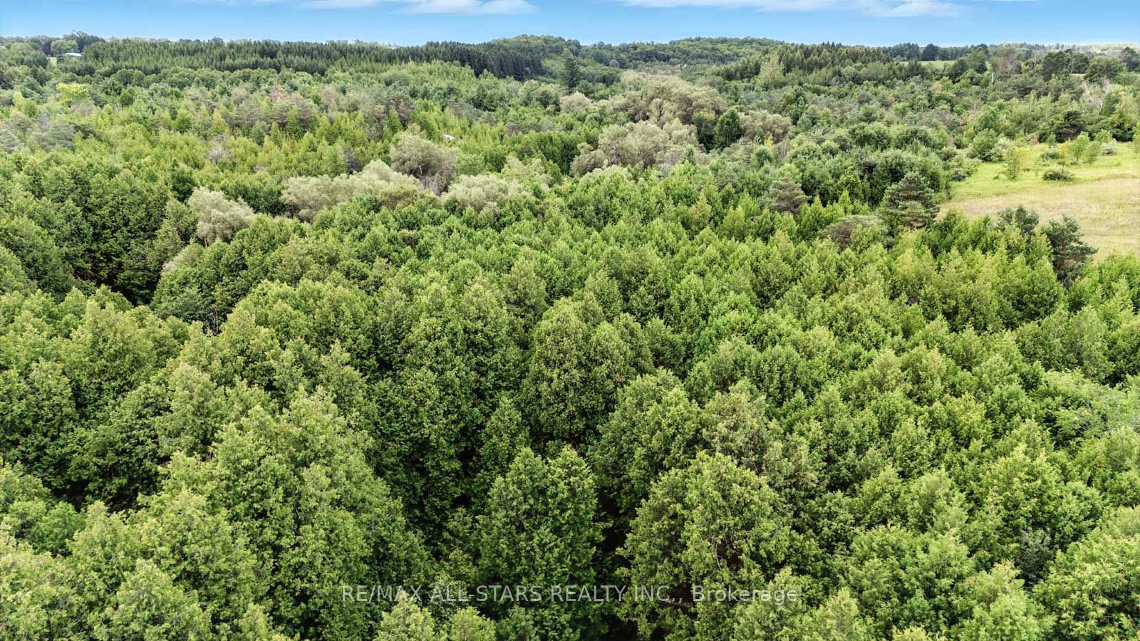 8287 Allin Road Property Photo 17