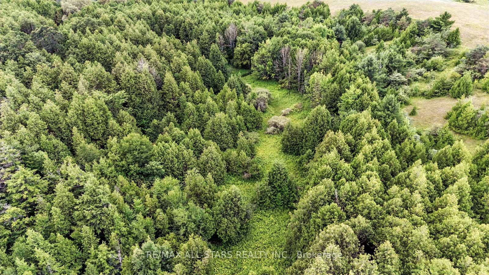 8287 Allin Road Property Photo 18