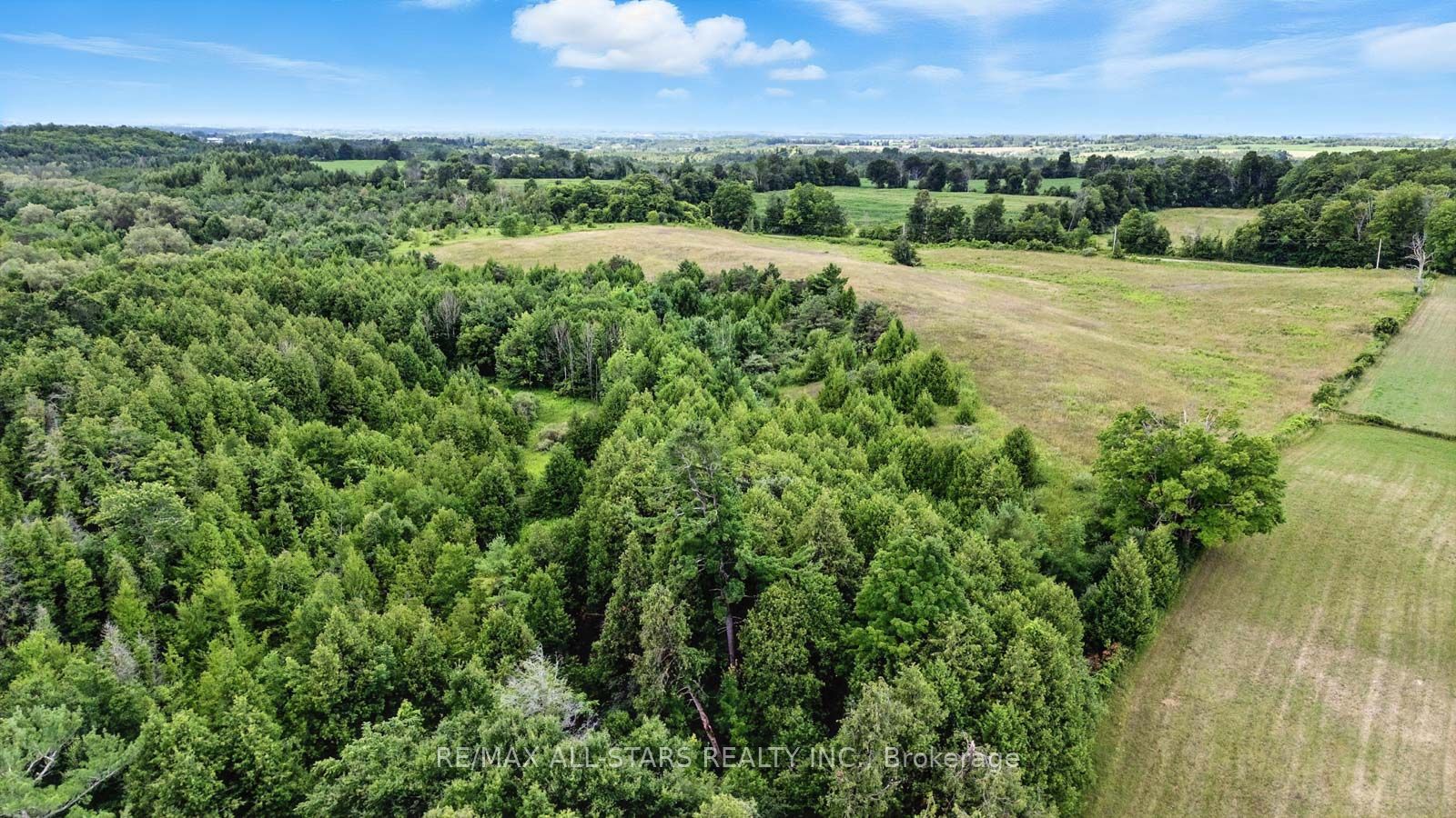 8287 Allin Road Property Photo 19
