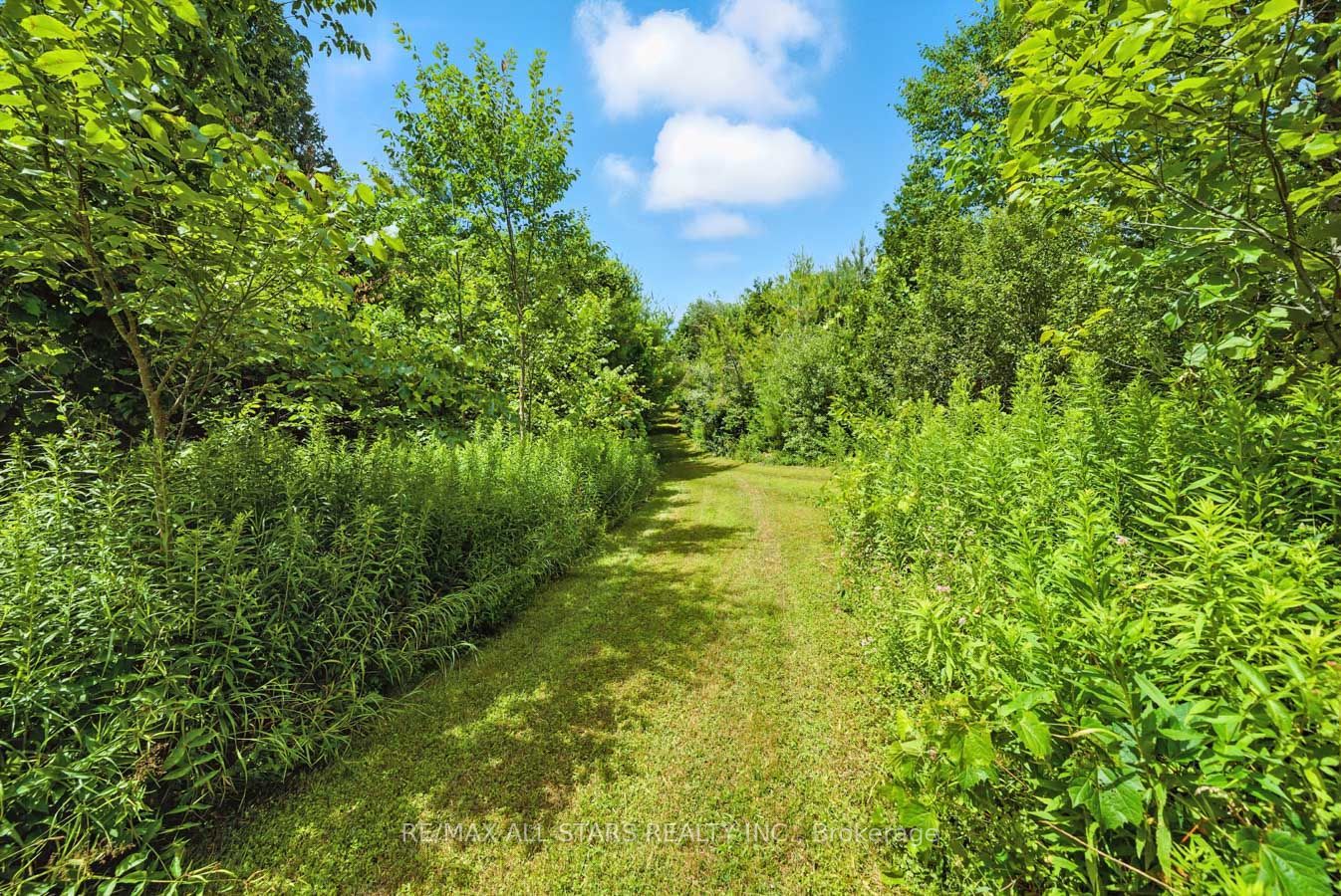 8287 Allin Road Property Photo 23